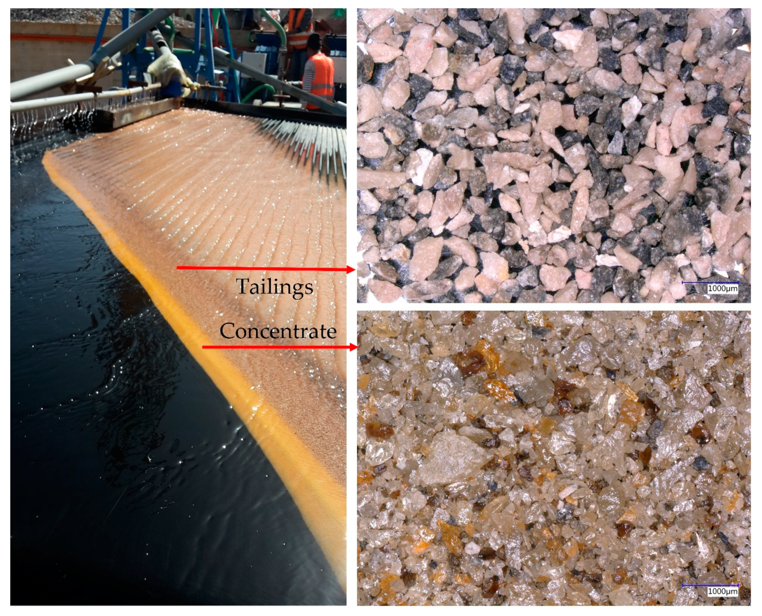 Minerals 10 00957 g007