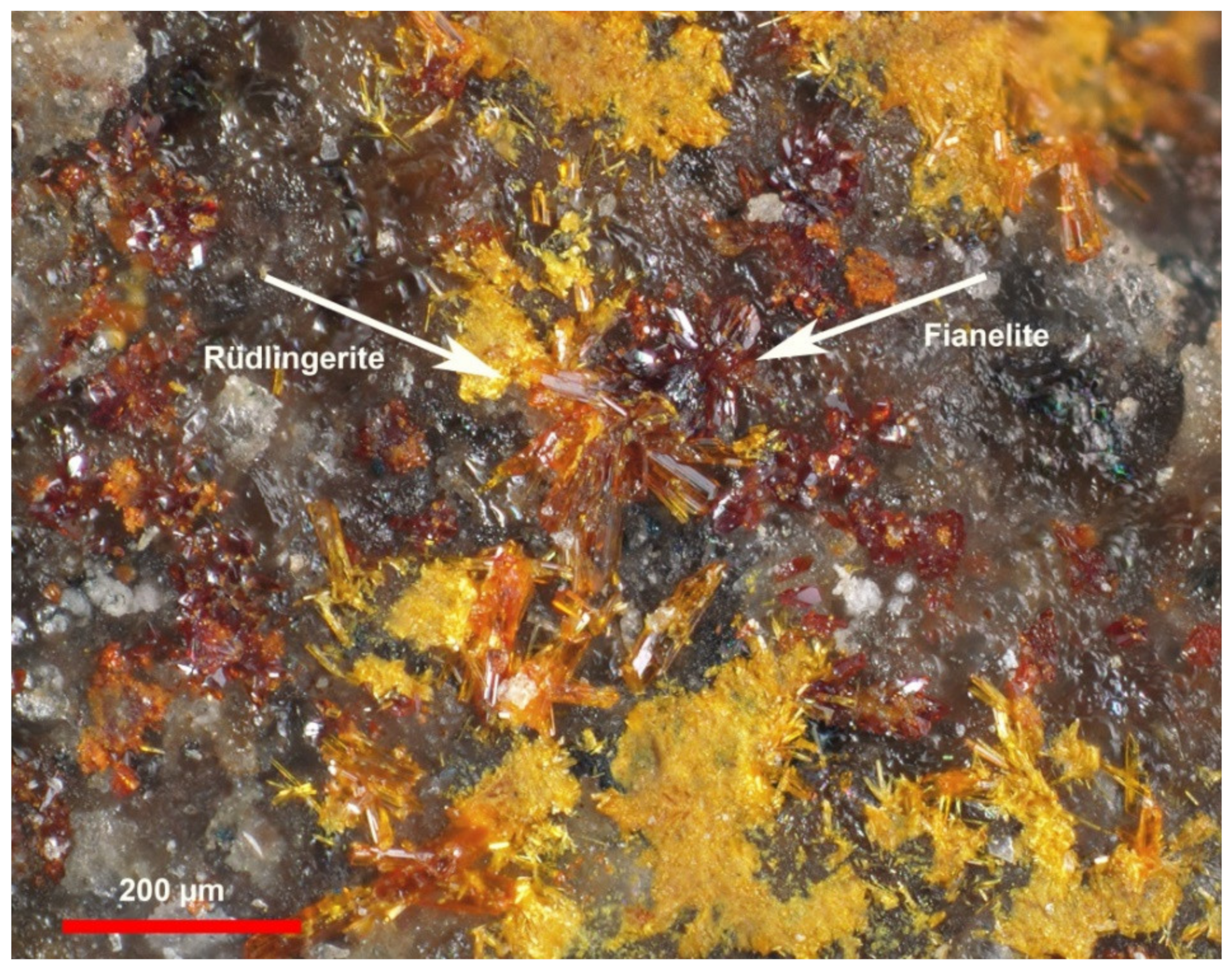 Minerals 10 00960 g002