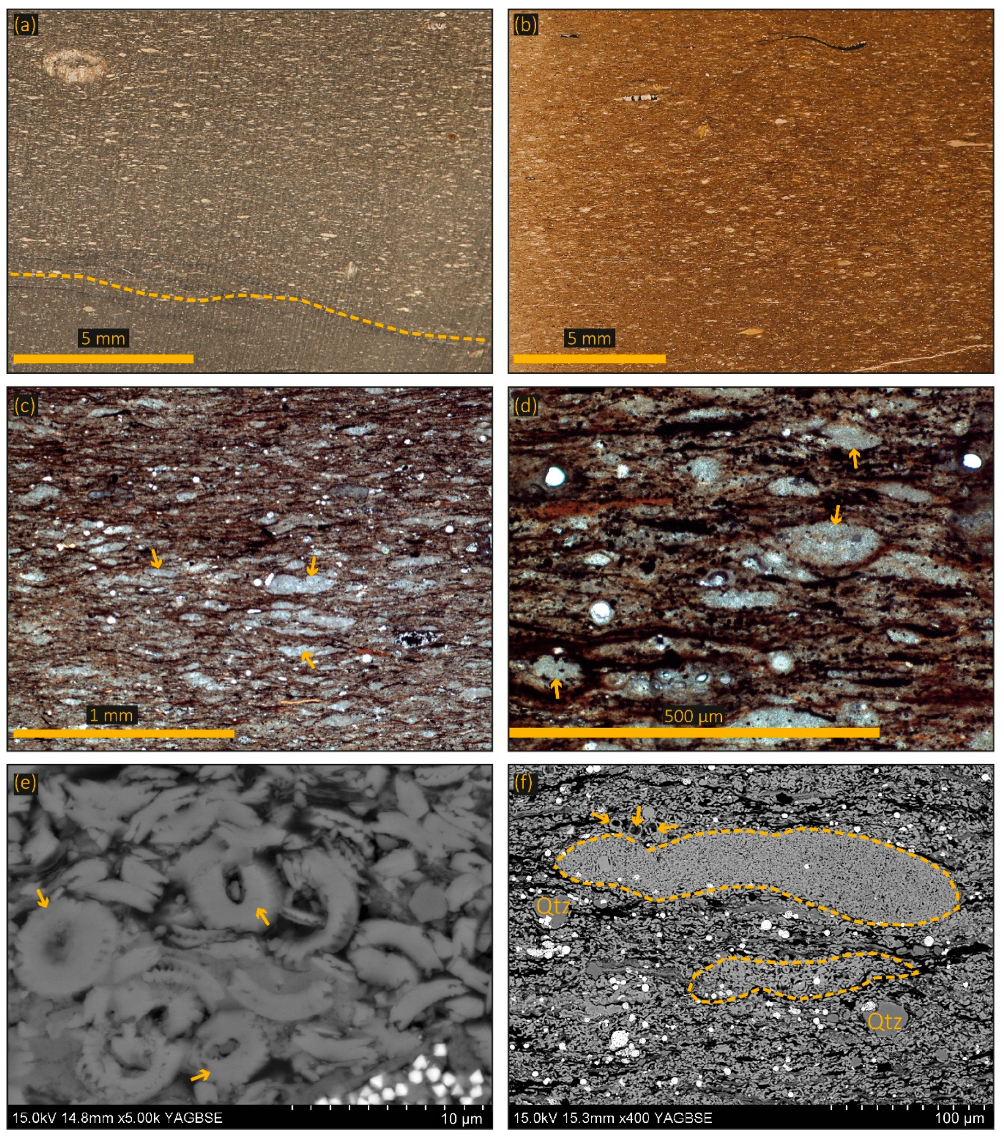 Minerals 10 00977 g005 Minerals 10 00977 g005