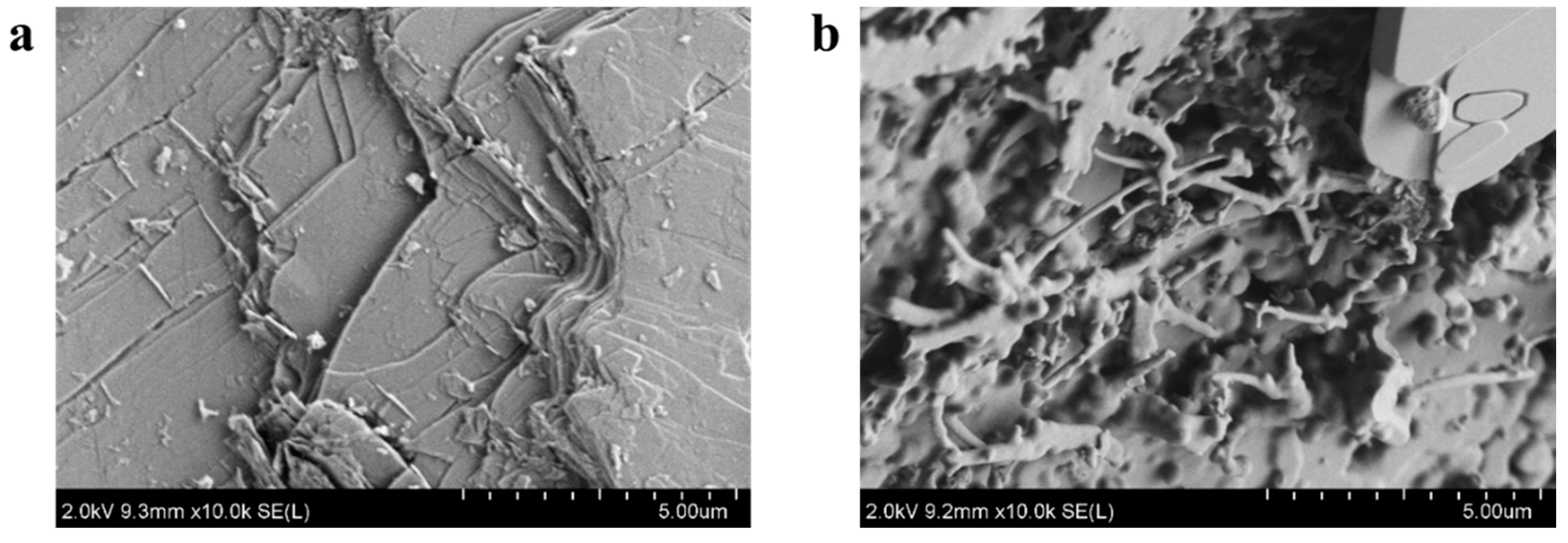Minerals 10 00981 g004