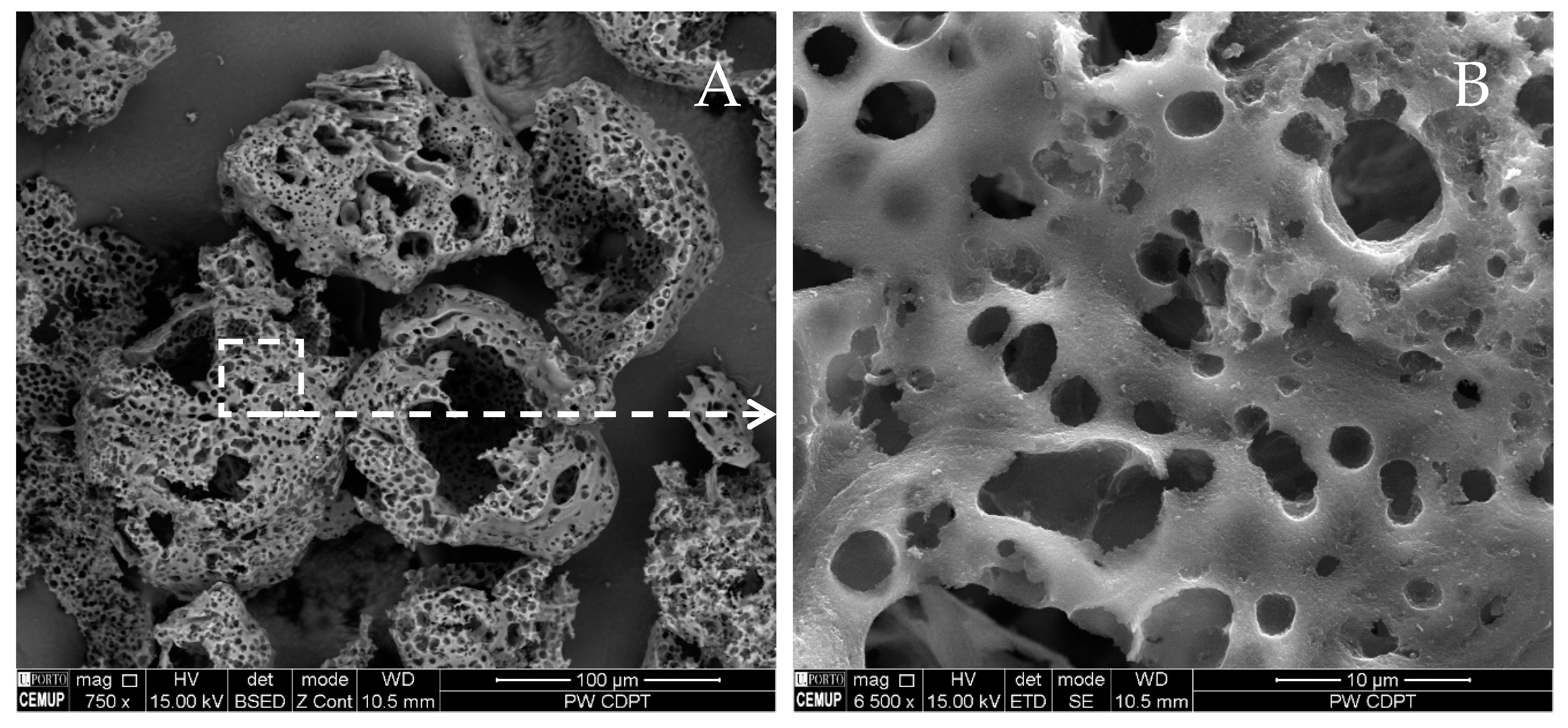 Minerals 10 00986 g010