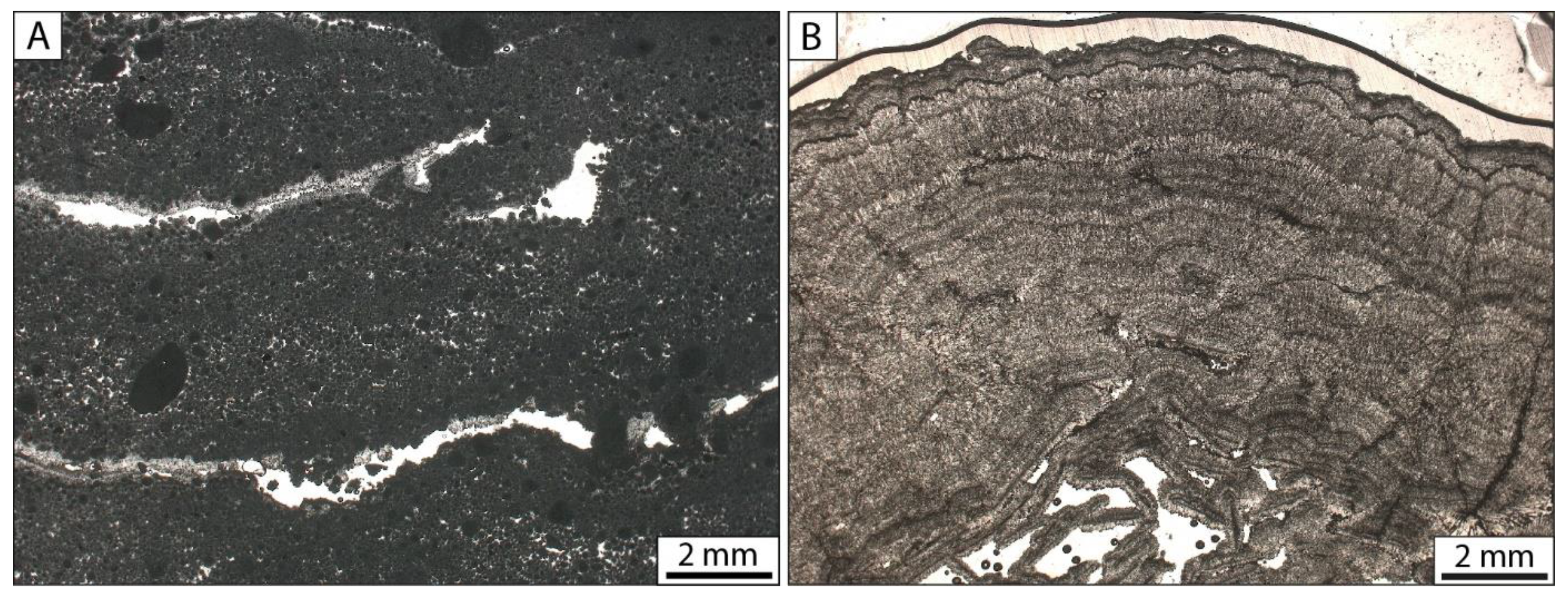 Minerals 10 00989 g003