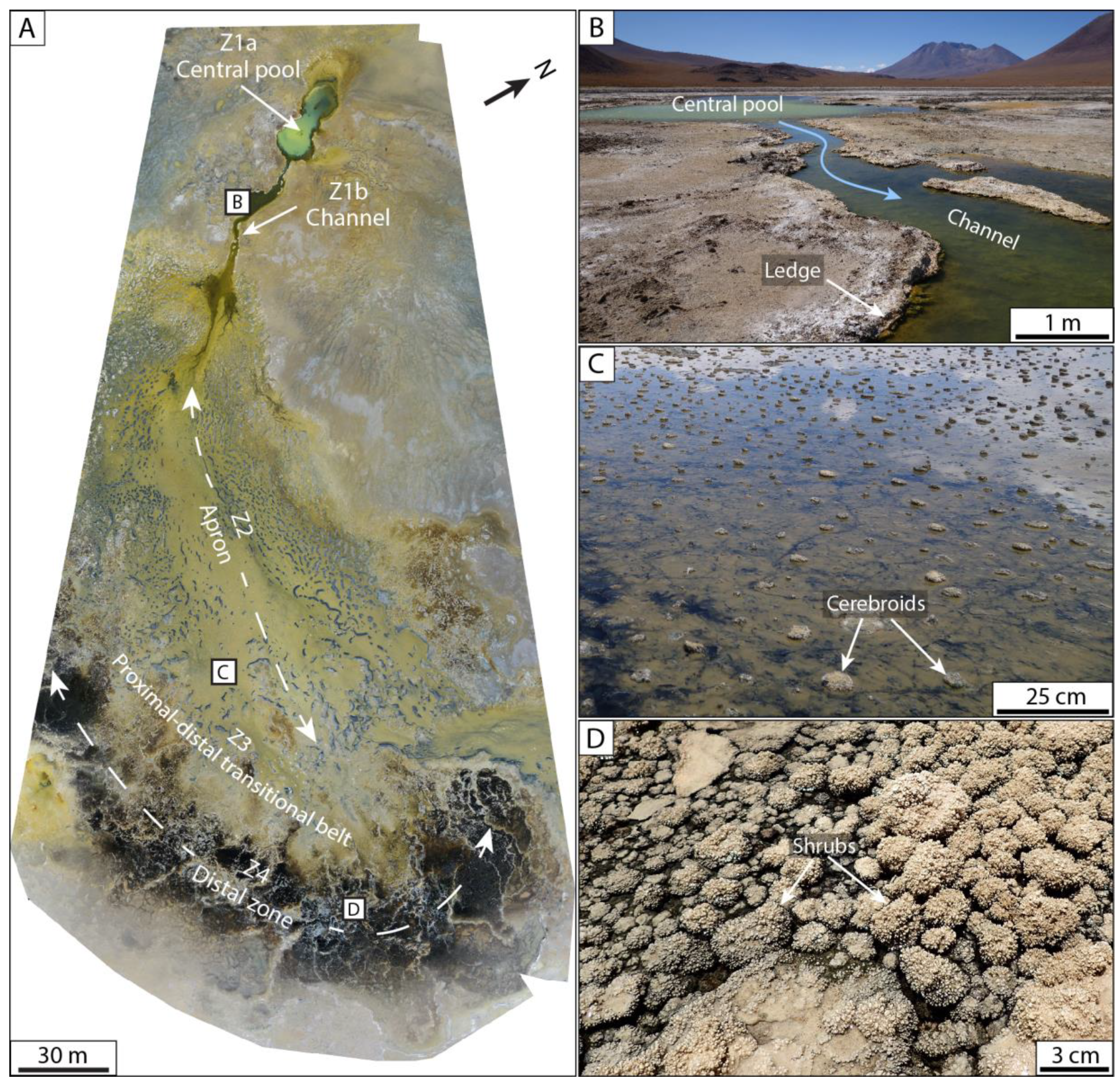 Minerals 10 00989 g004