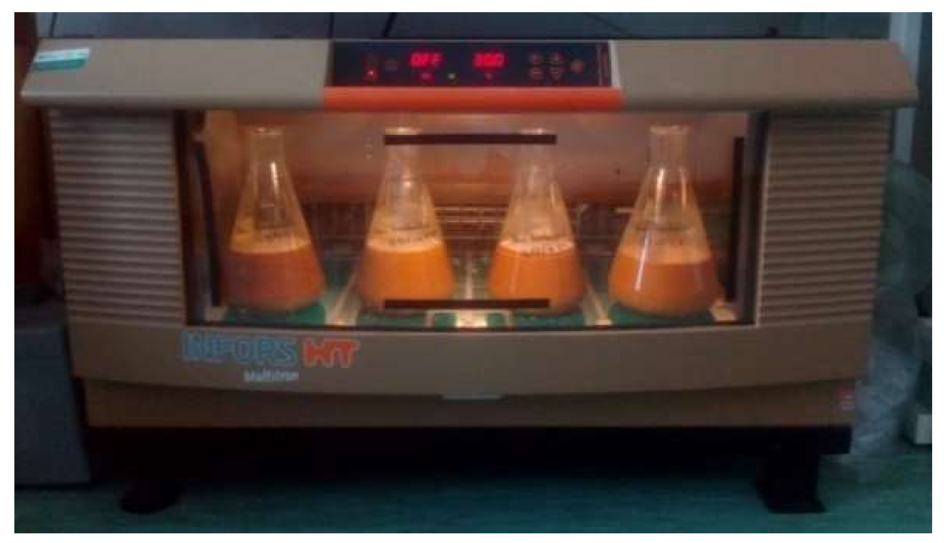 Minerals 10 01013 g001 Minerals 10 01013 g001