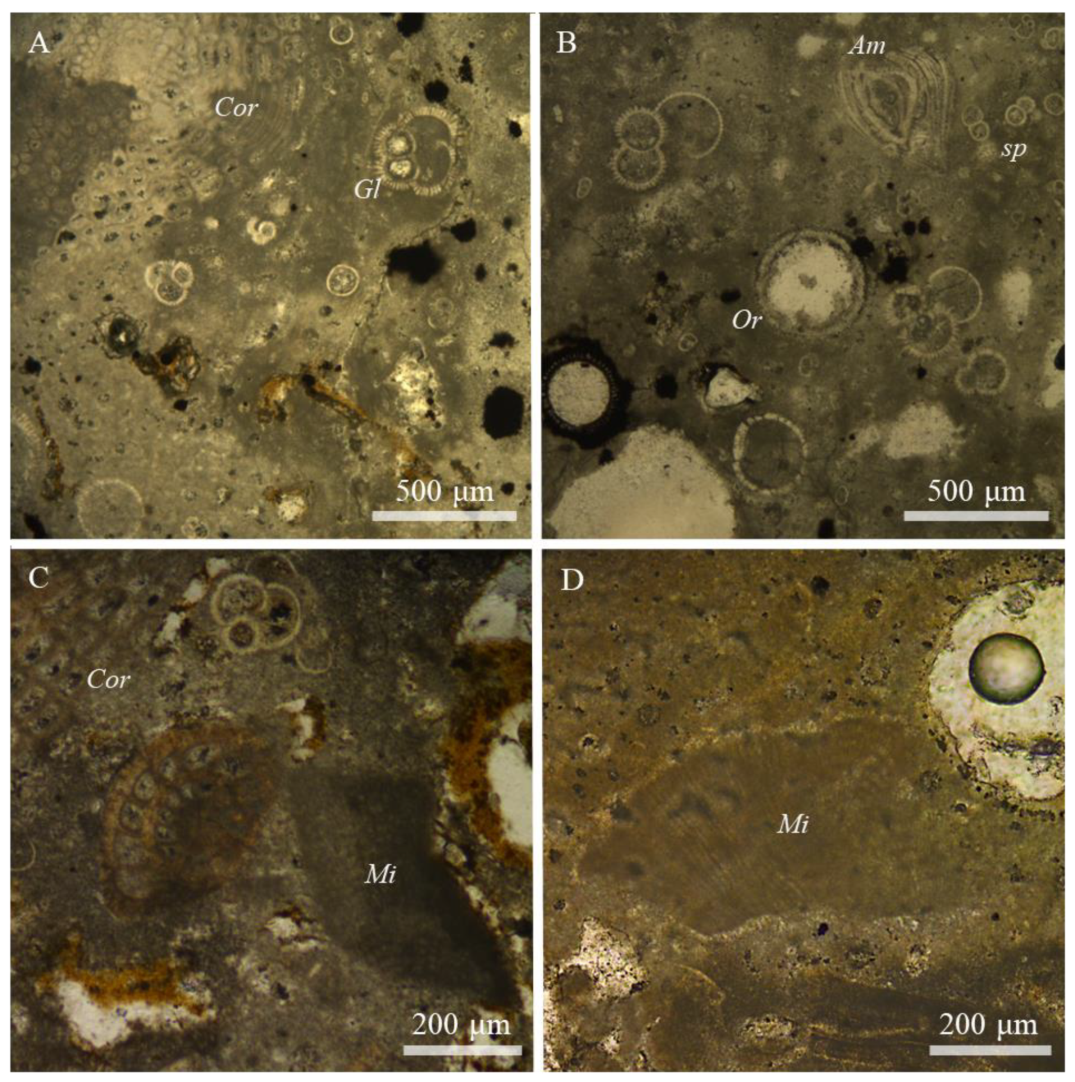 Minerals 10 01016 g002 Minerals 10 01016 g002