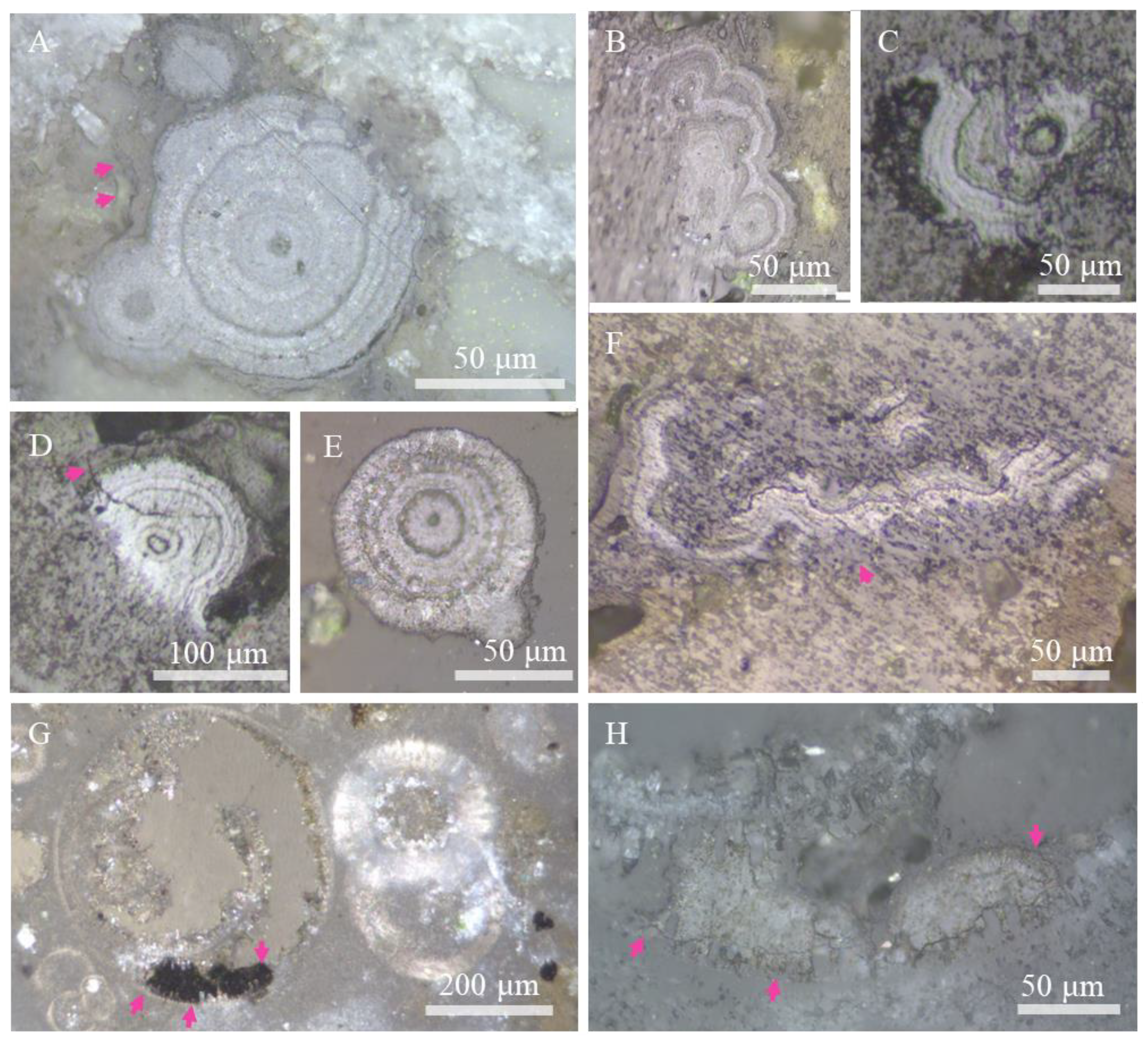 Minerals 10 01016 g003 Minerals 10 01016 g003