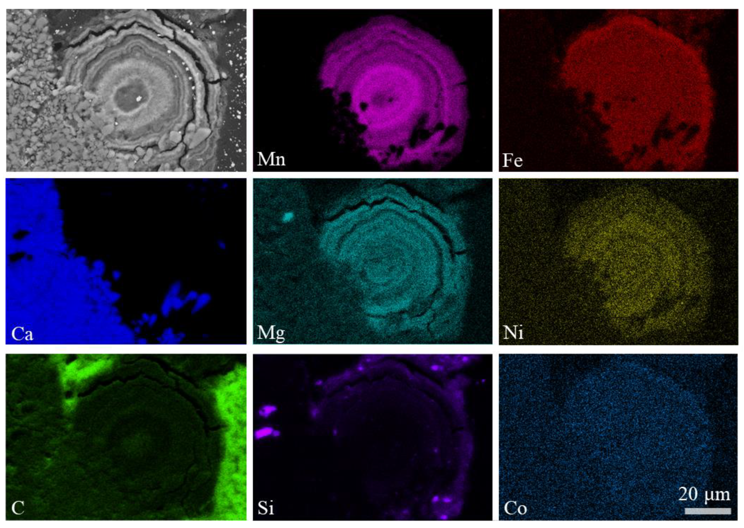 Minerals 10 01016 g005 Minerals 10 01016 g005