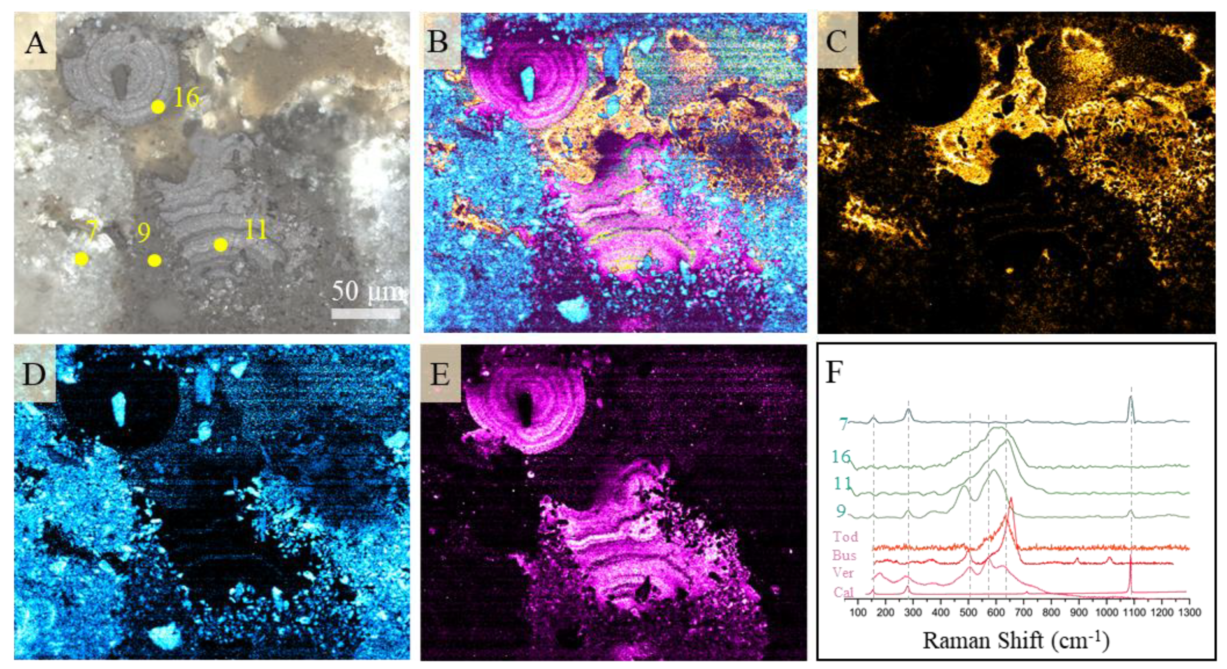 Minerals 10 01016 g007 Minerals 10 01016 g007