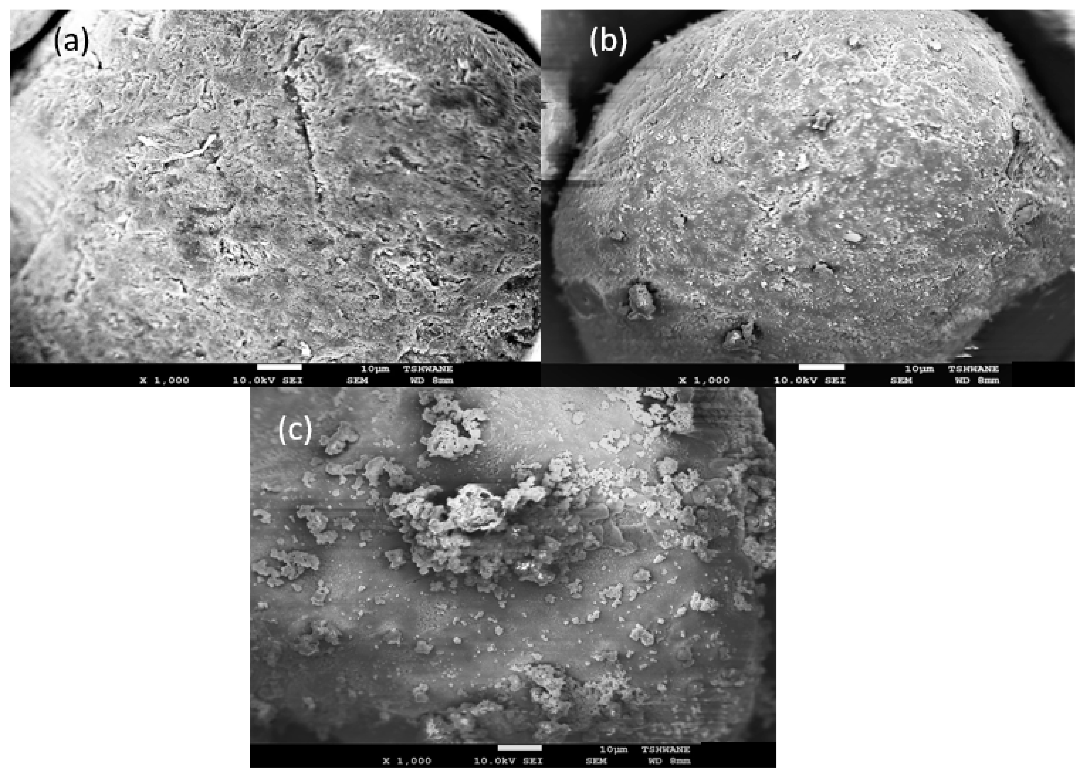 Minerals 10 01022 g016 Minerals 10 01022 g016