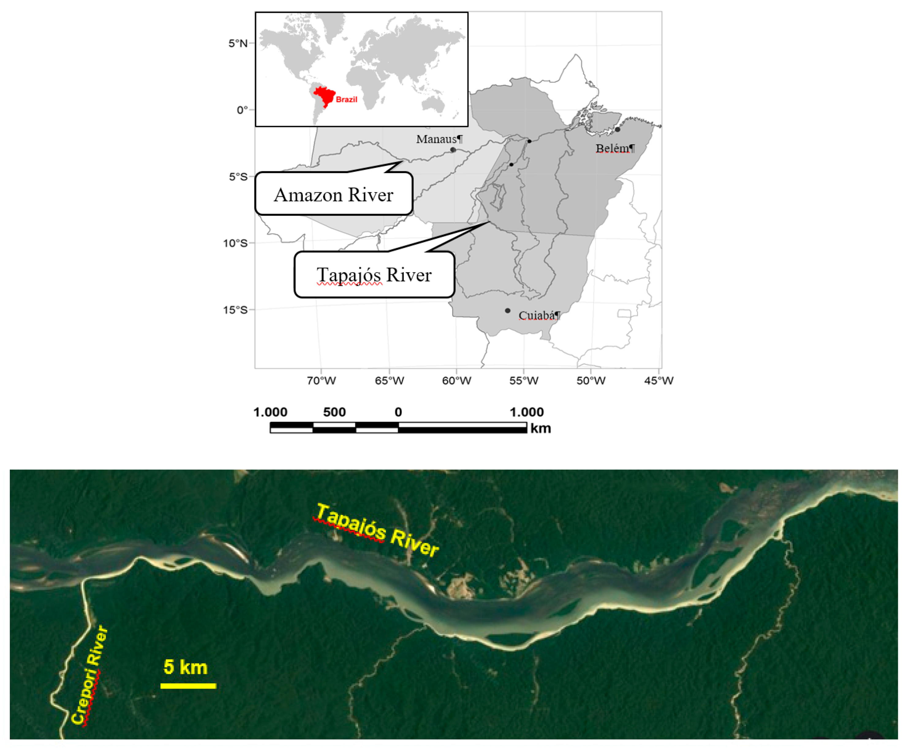 Minerals Free Full Text Gravity Concentration In Artisanal Gold Mining Html Minerals Free Full Text Gravity Concentration In Artisanal Gold Mining Html