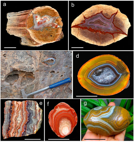 Hand samples of; (a) salt rock, (b) iron oxide, (c) rhyolite, (d