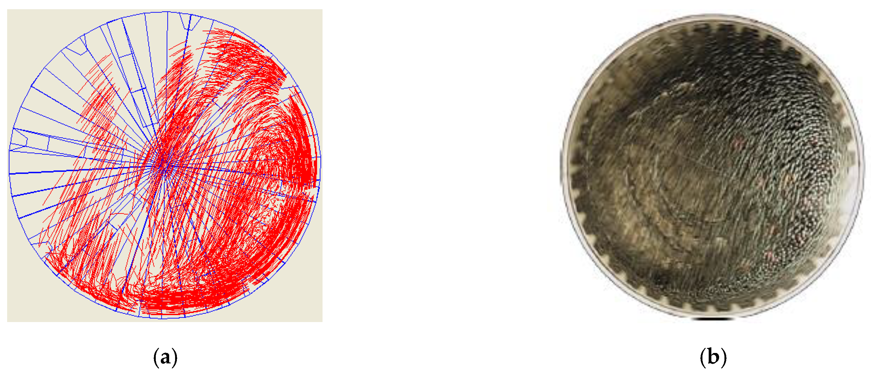 Minerals 10 01047 g004 Minerals 10 01047 g004