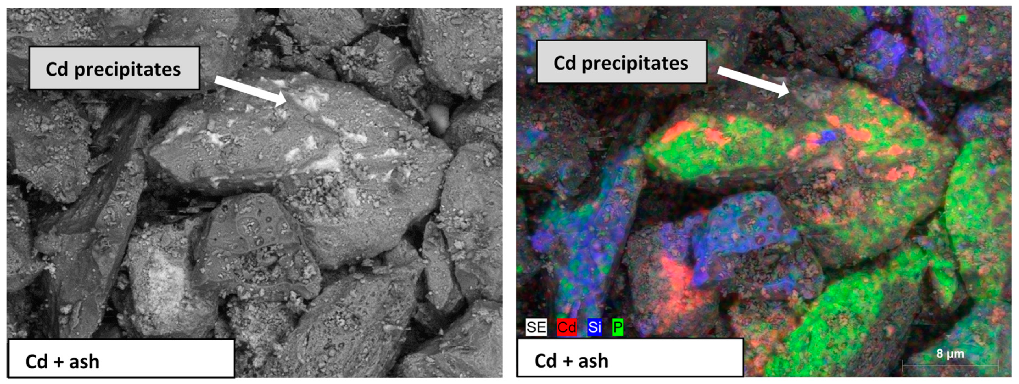 Minerals 10 01048 g011 Minerals 10 01048 g011