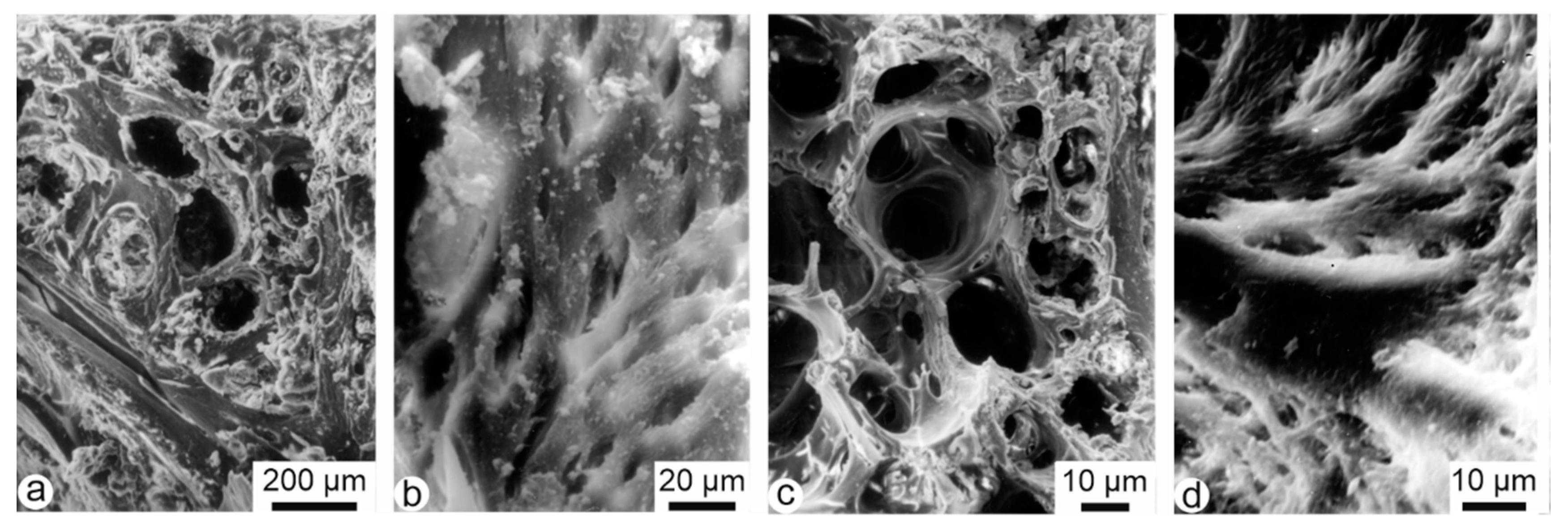Minerals 10 01049 g002 Minerals 10 01049 g002