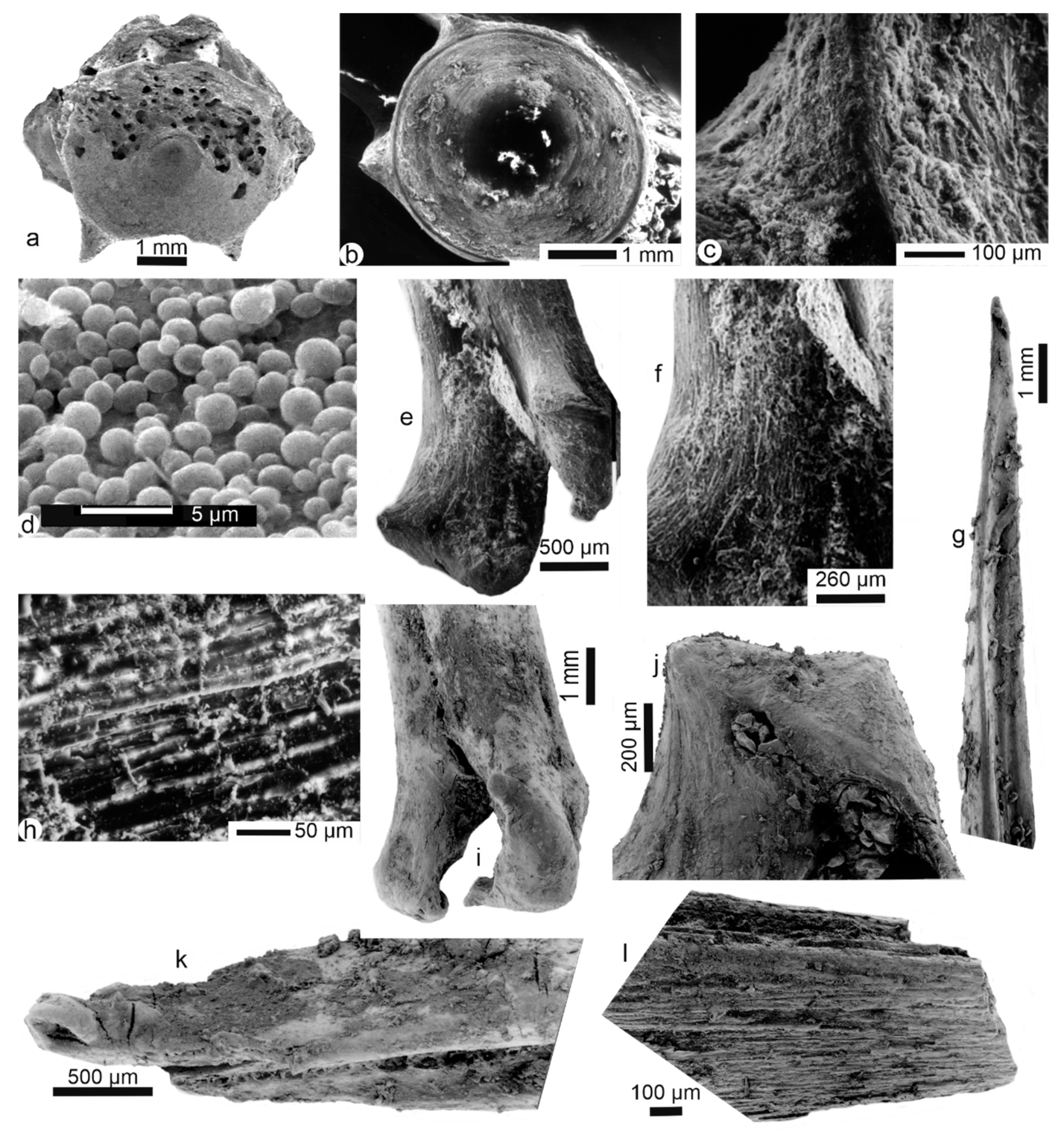 Minerals 10 01049 g003 Minerals 10 01049 g003
