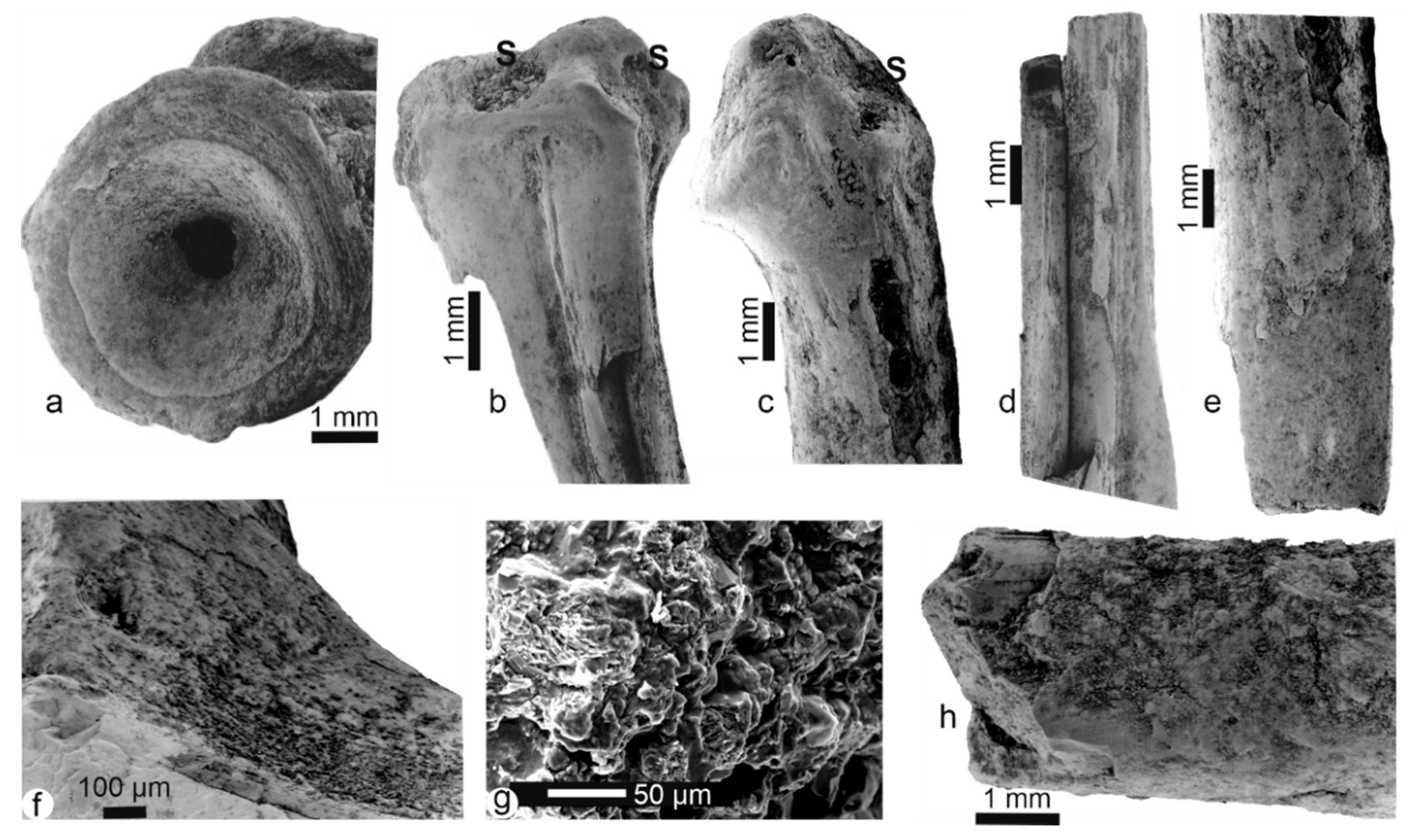 Minerals 10 01049 g004 Minerals 10 01049 g004