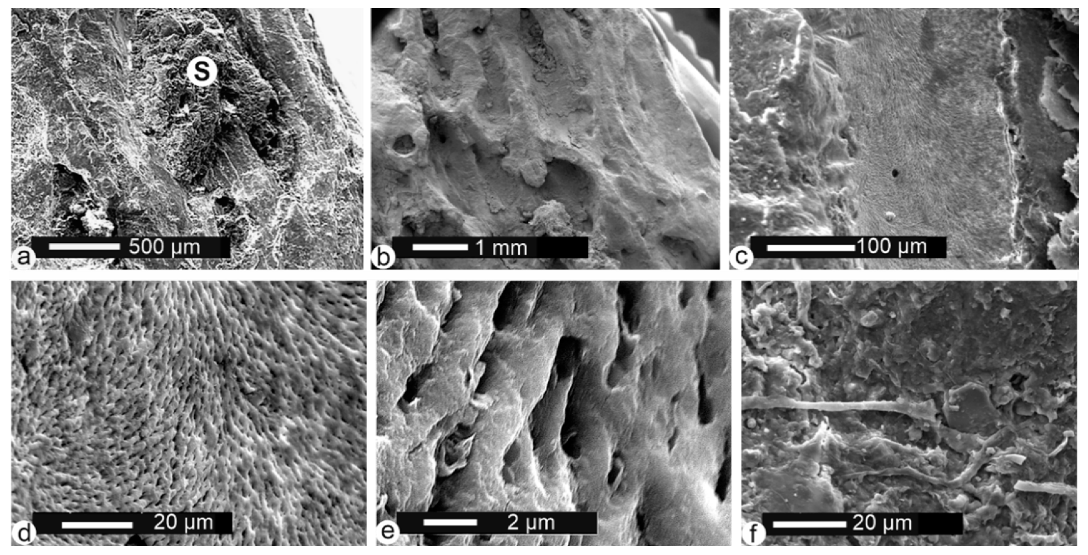 Minerals 10 01049 g005 Minerals 10 01049 g005