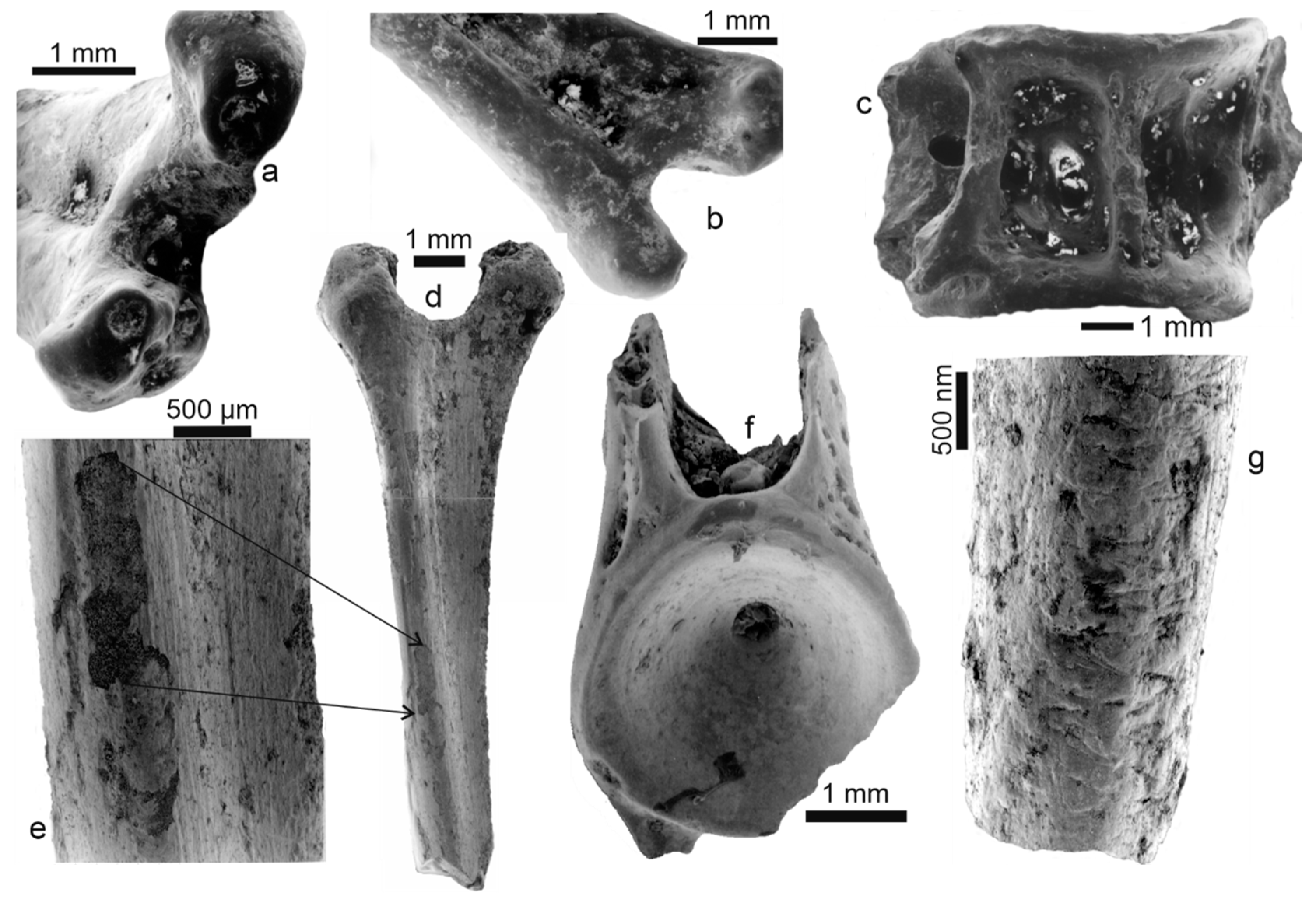 Minerals 10 01049 g006 Minerals 10 01049 g006