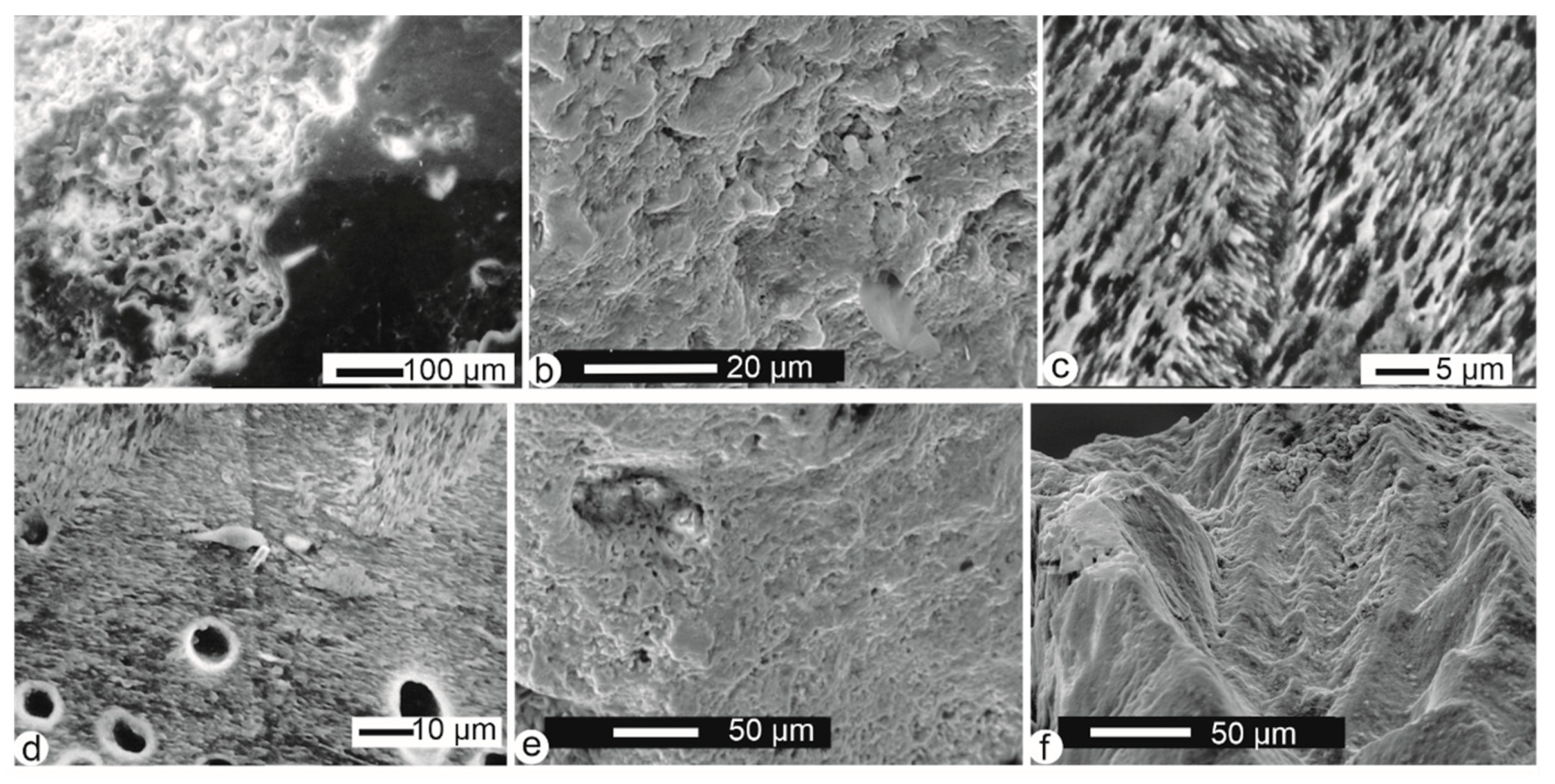 Minerals 10 01049 g007 Minerals 10 01049 g007