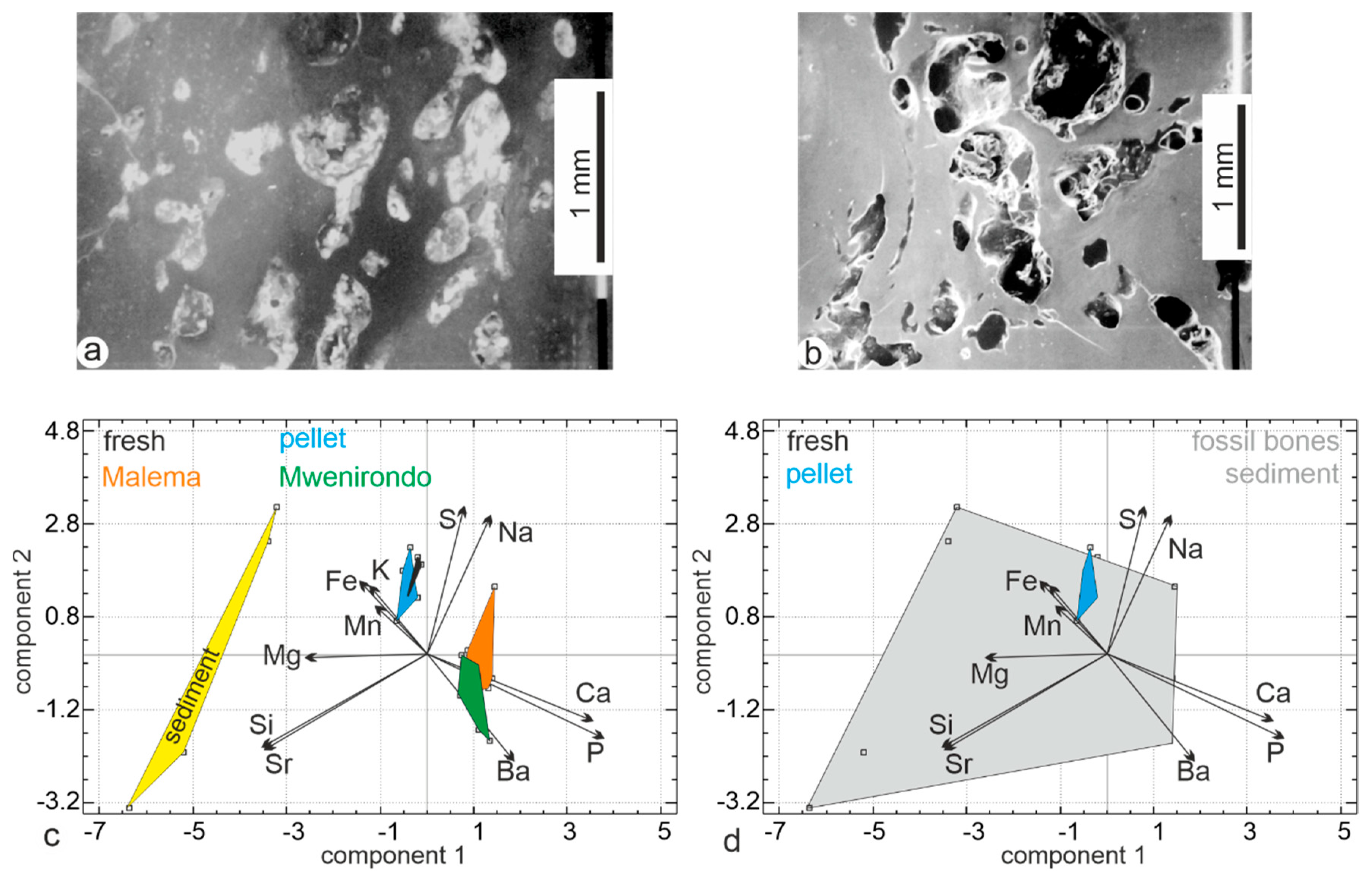 Minerals 10 01049 g012 Minerals 10 01049 g012