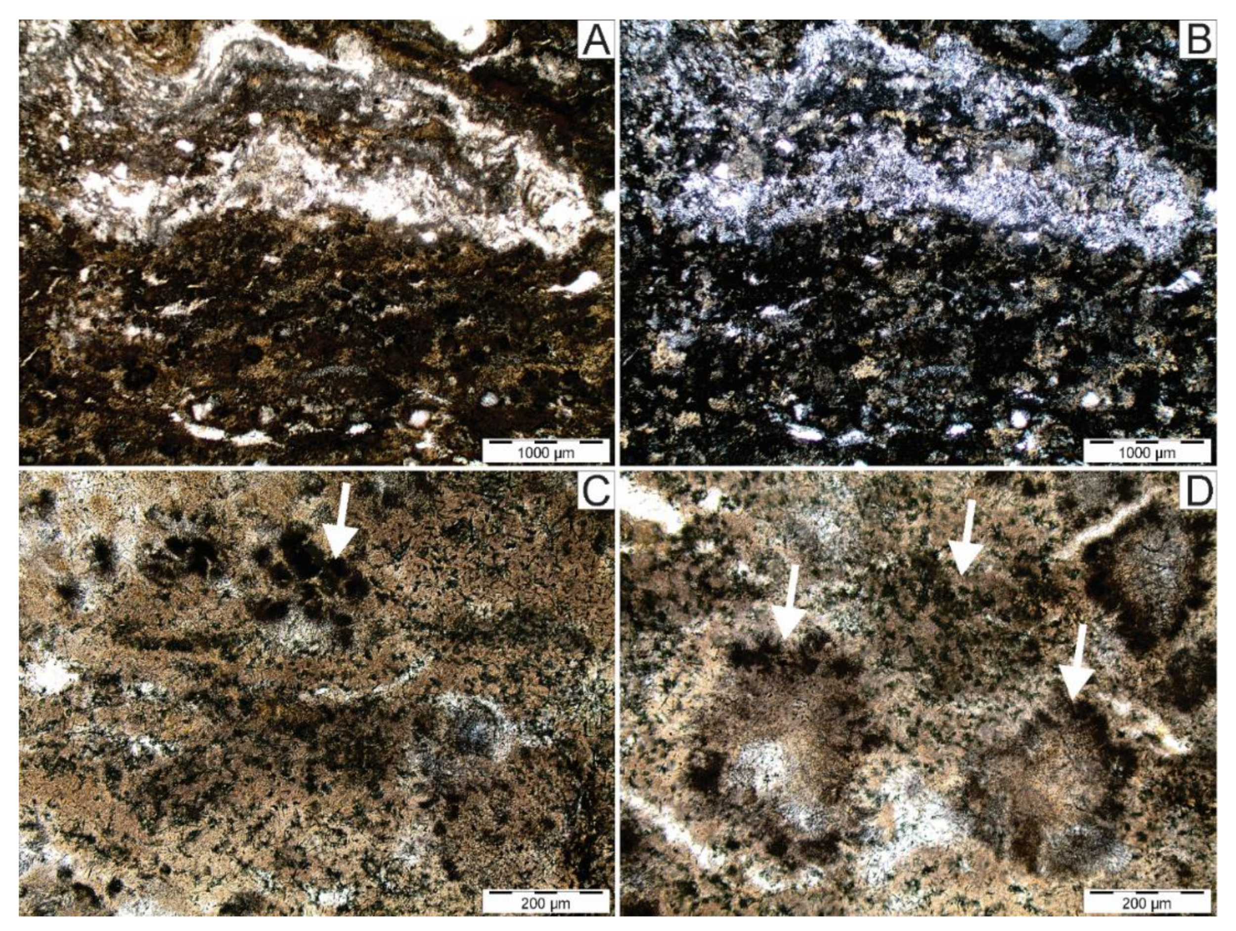 Minerals 10 01053 g003