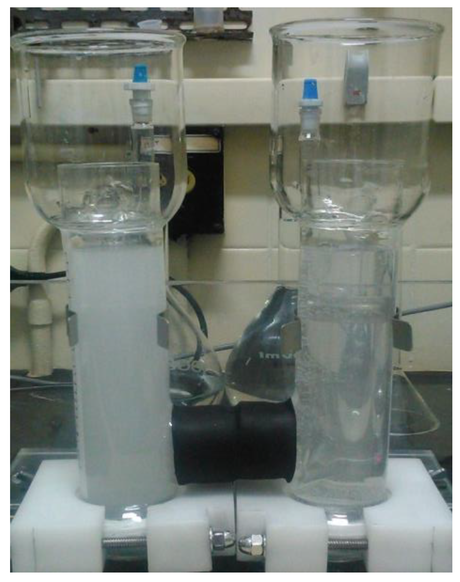 Minerals 10 01057 g001