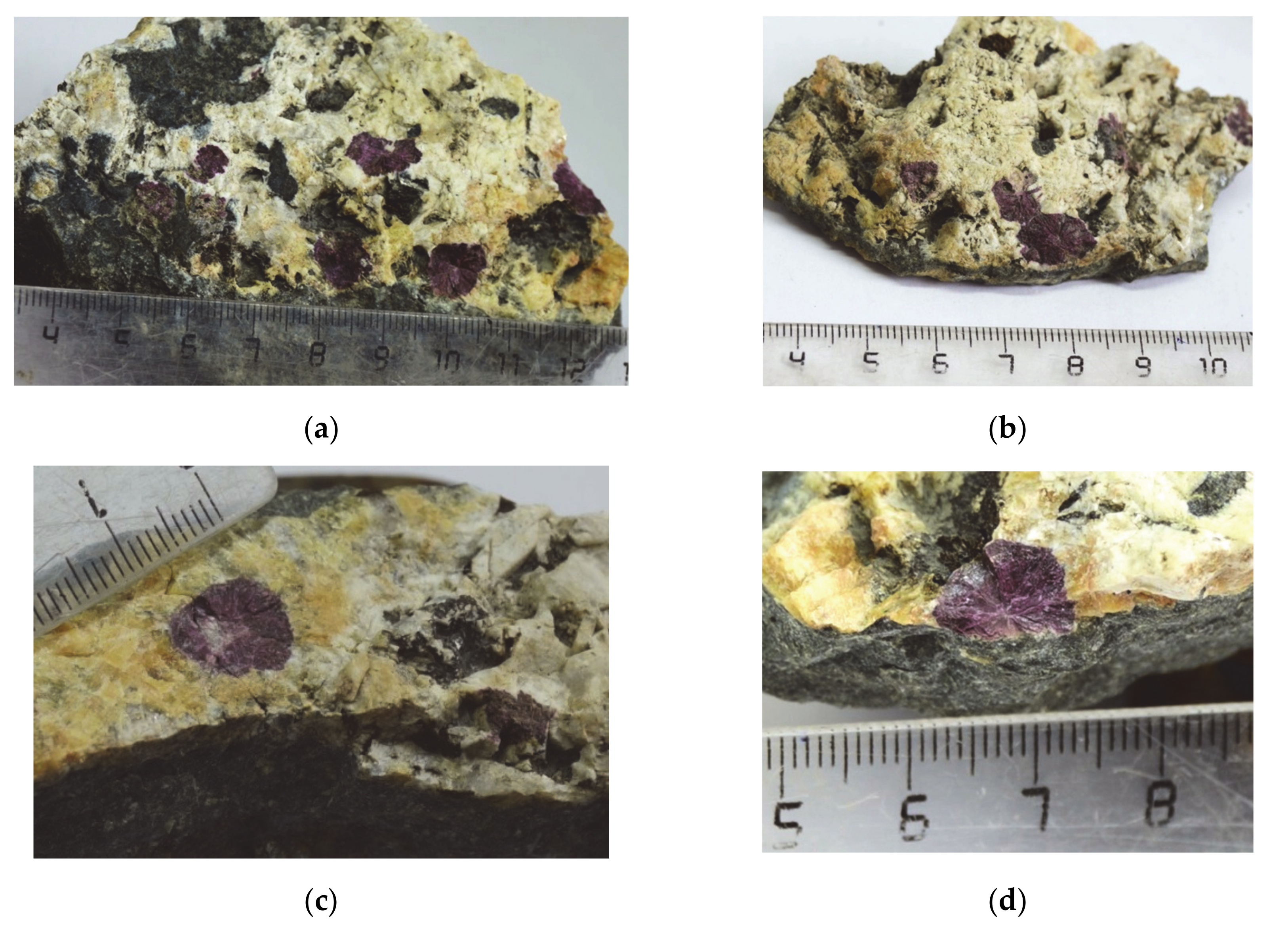 Minerals 10 01062 g001 Minerals 10 01062 g001