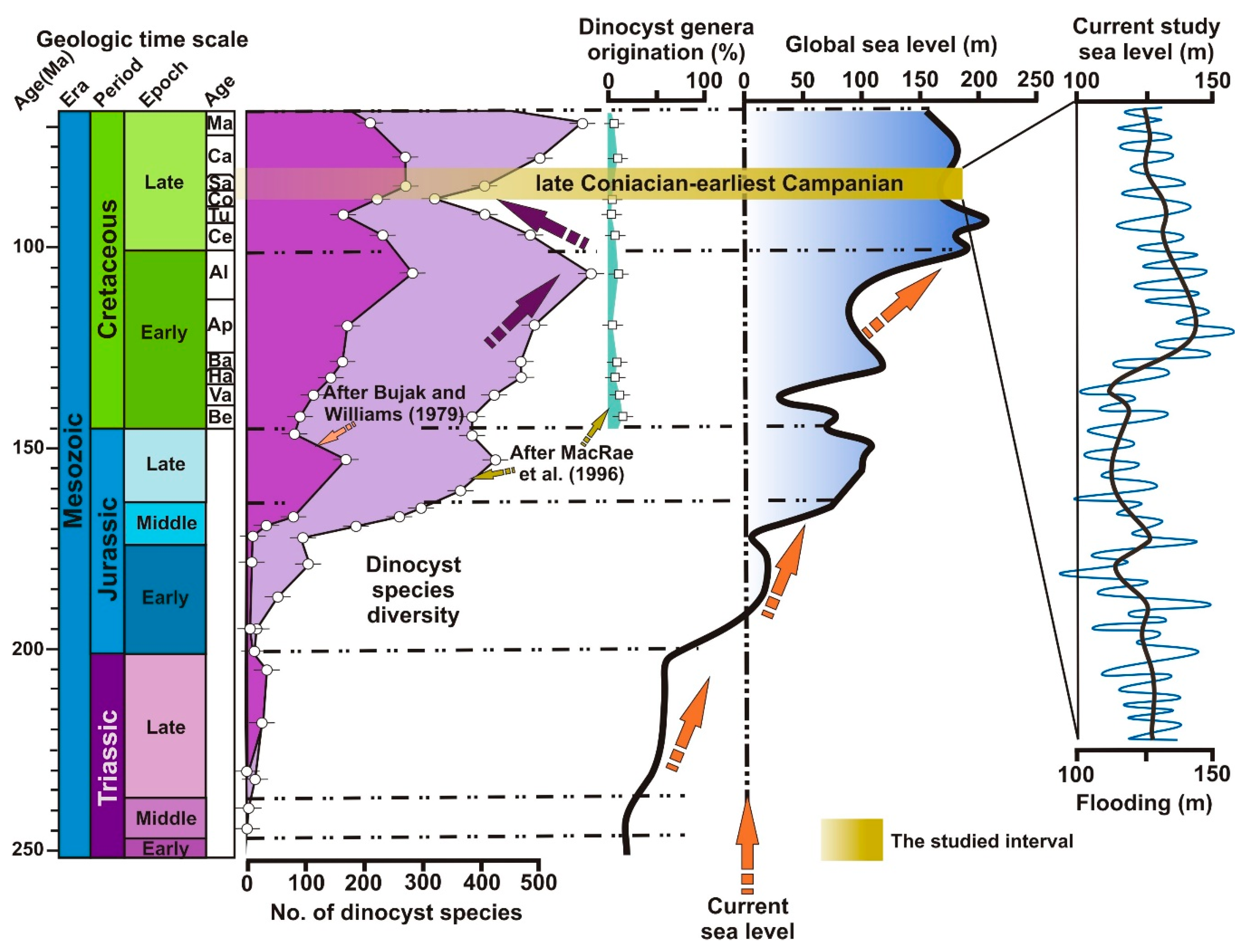 Minerals 10 01099 g001 Minerals 10 01099 g001