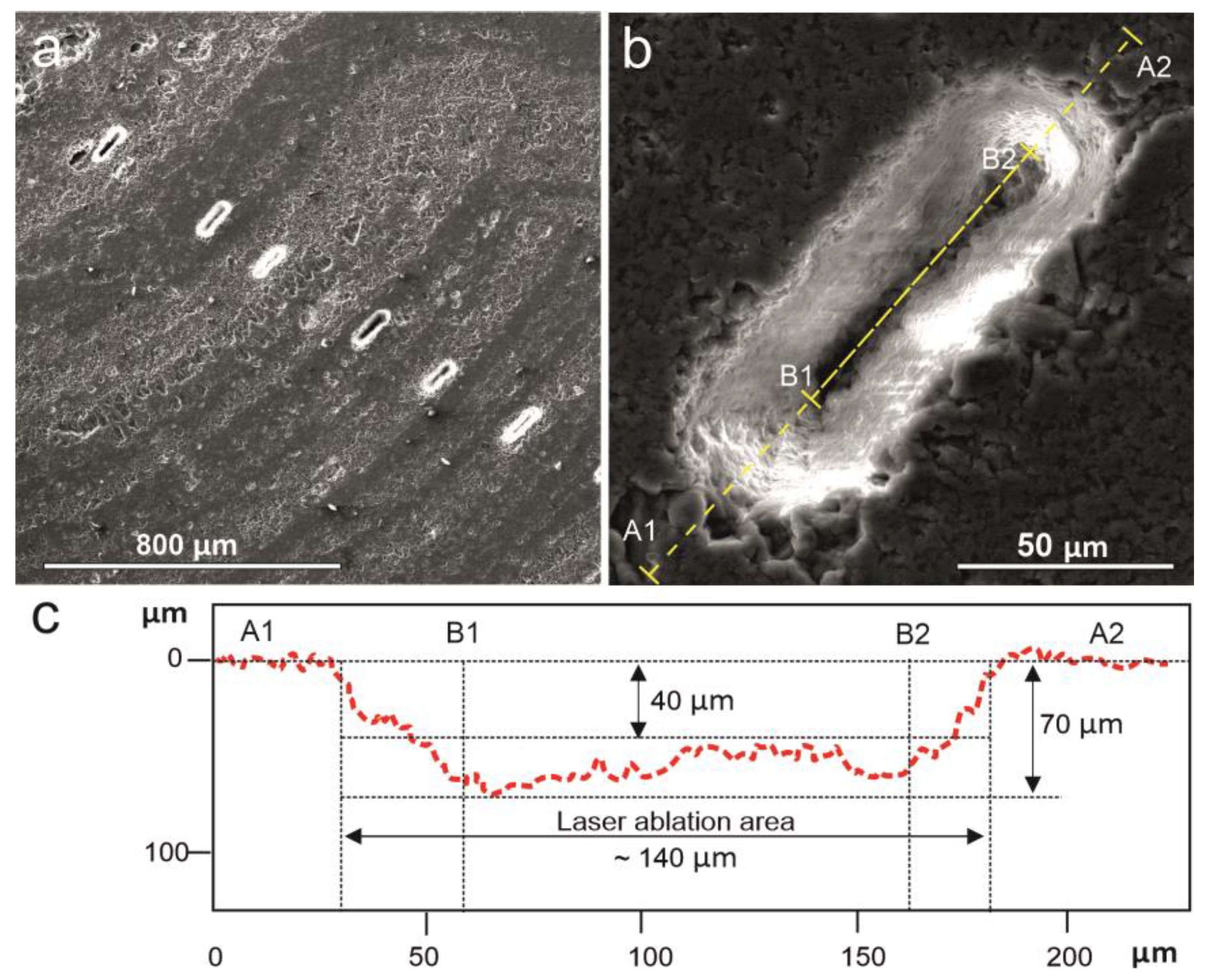 Minerals 10 01106 g003 Minerals 10 01106 g003