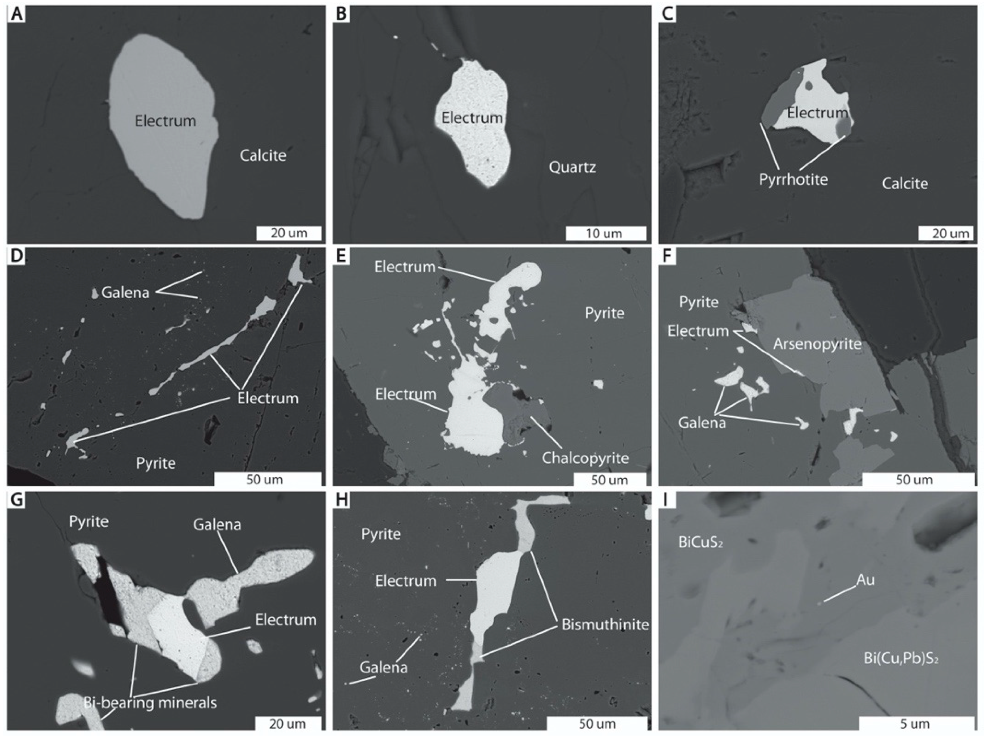 Minerals 10 01112 g006 Minerals 10 01112 g006