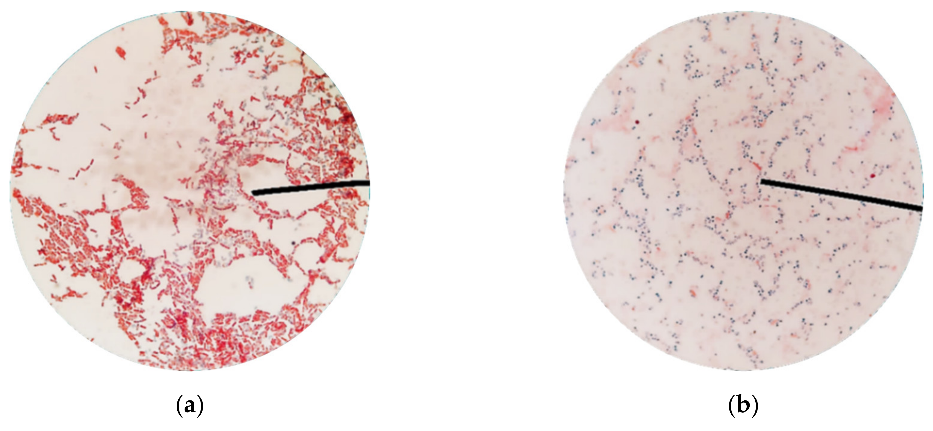 Minerals 10 01114 g0a1 Minerals 10 01114 g0a1