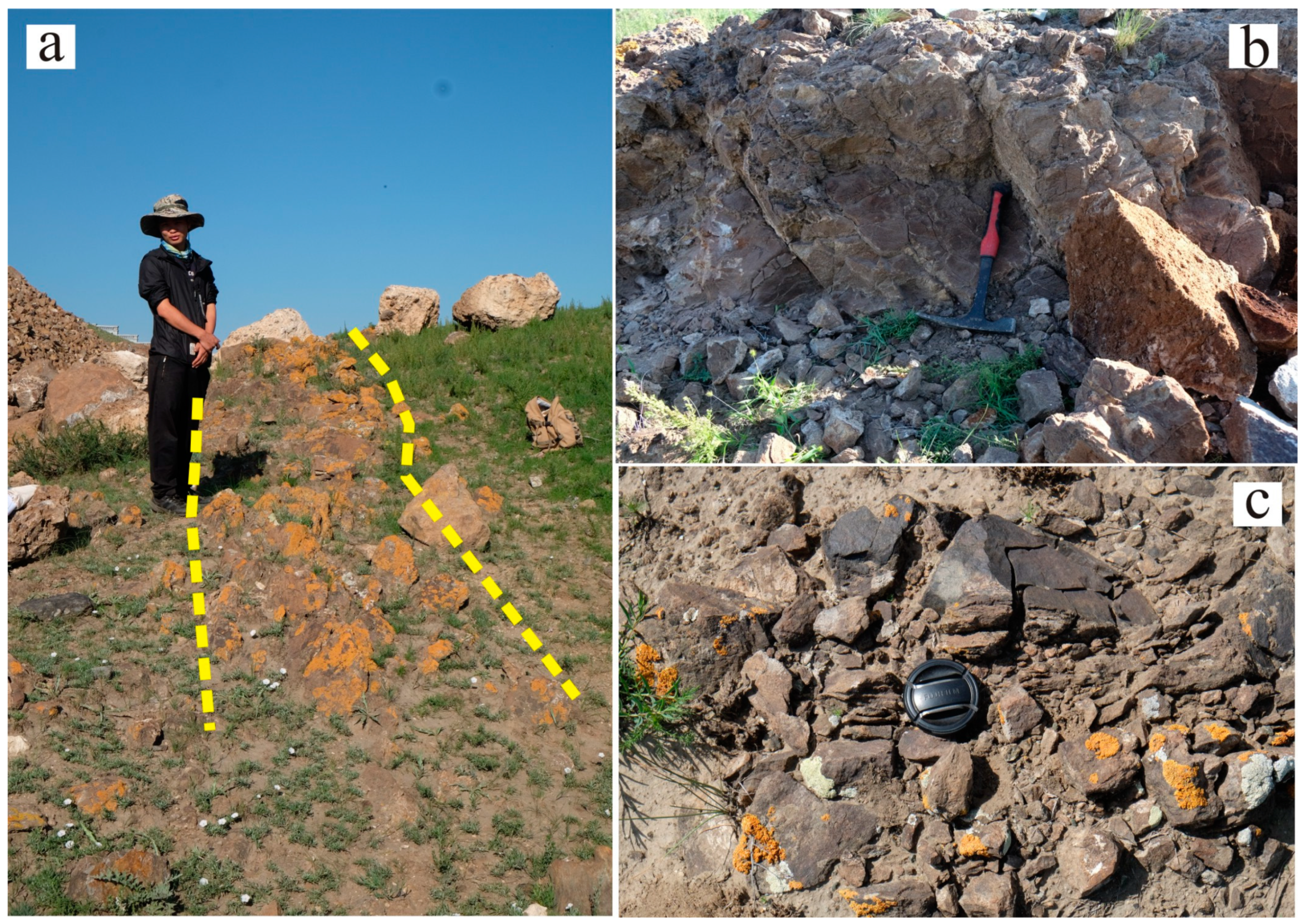 Minerals 10 01117 g002