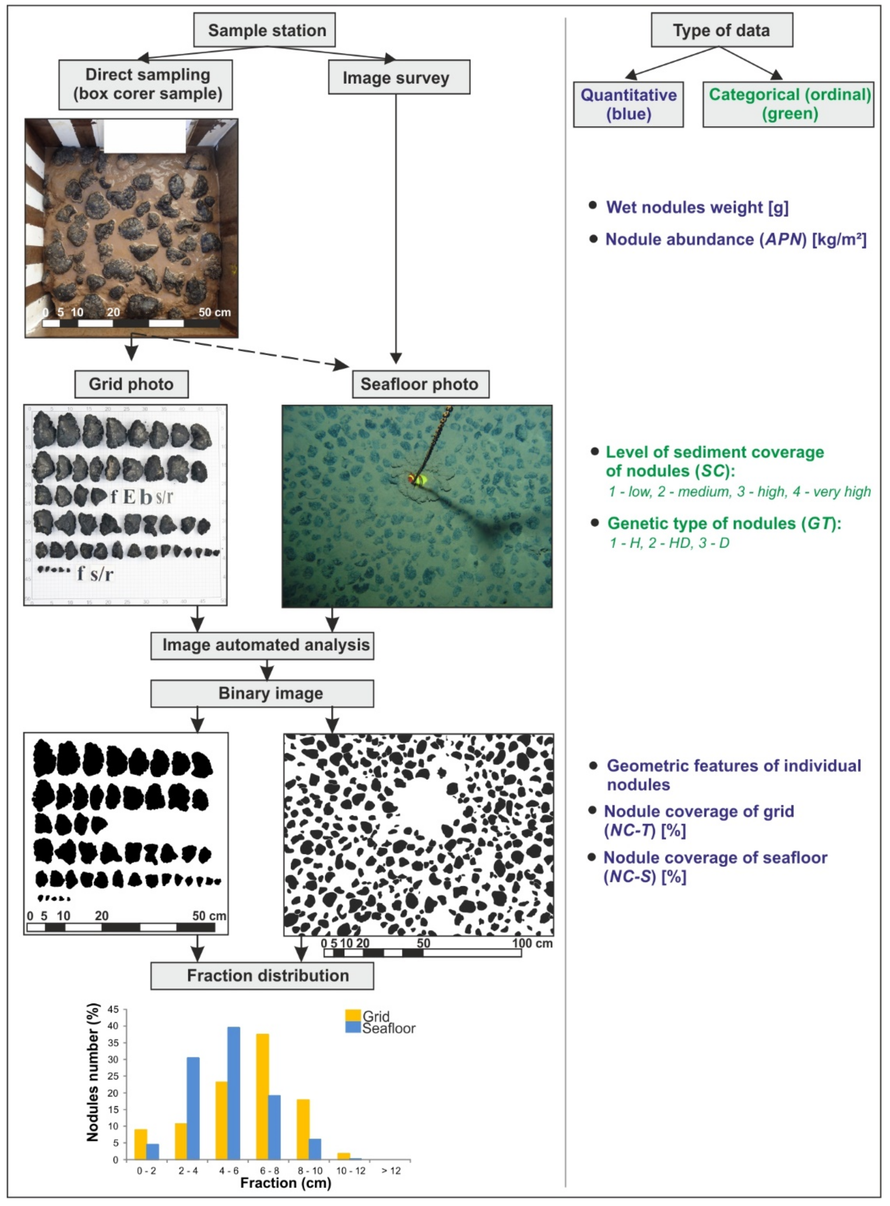 Minerals 10 01123 g002