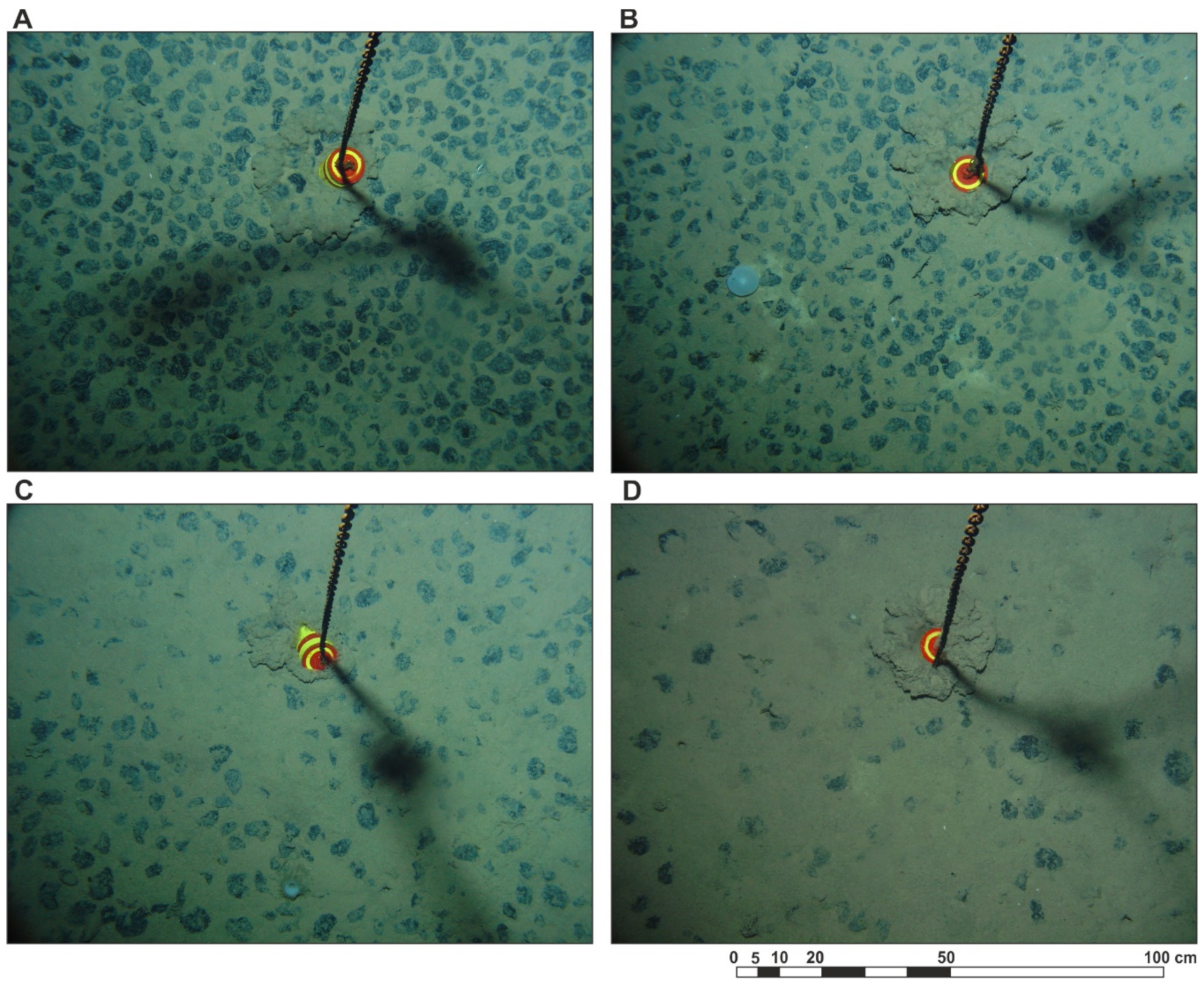 Minerals 10 01123 g005