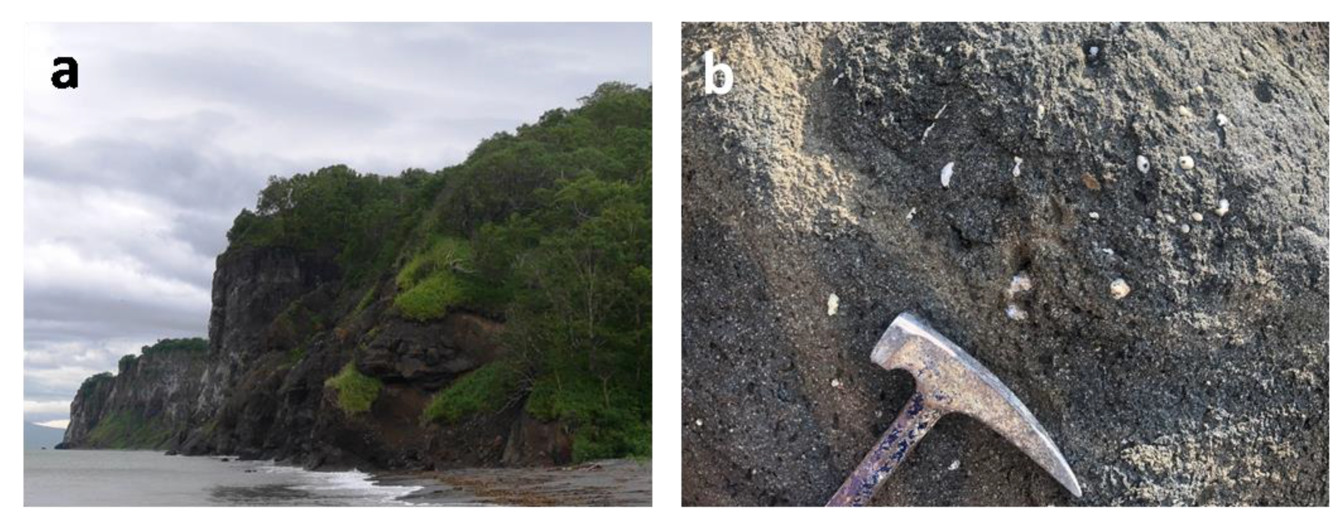 Minerals 10 01124 g002 Minerals 10 01124 g002