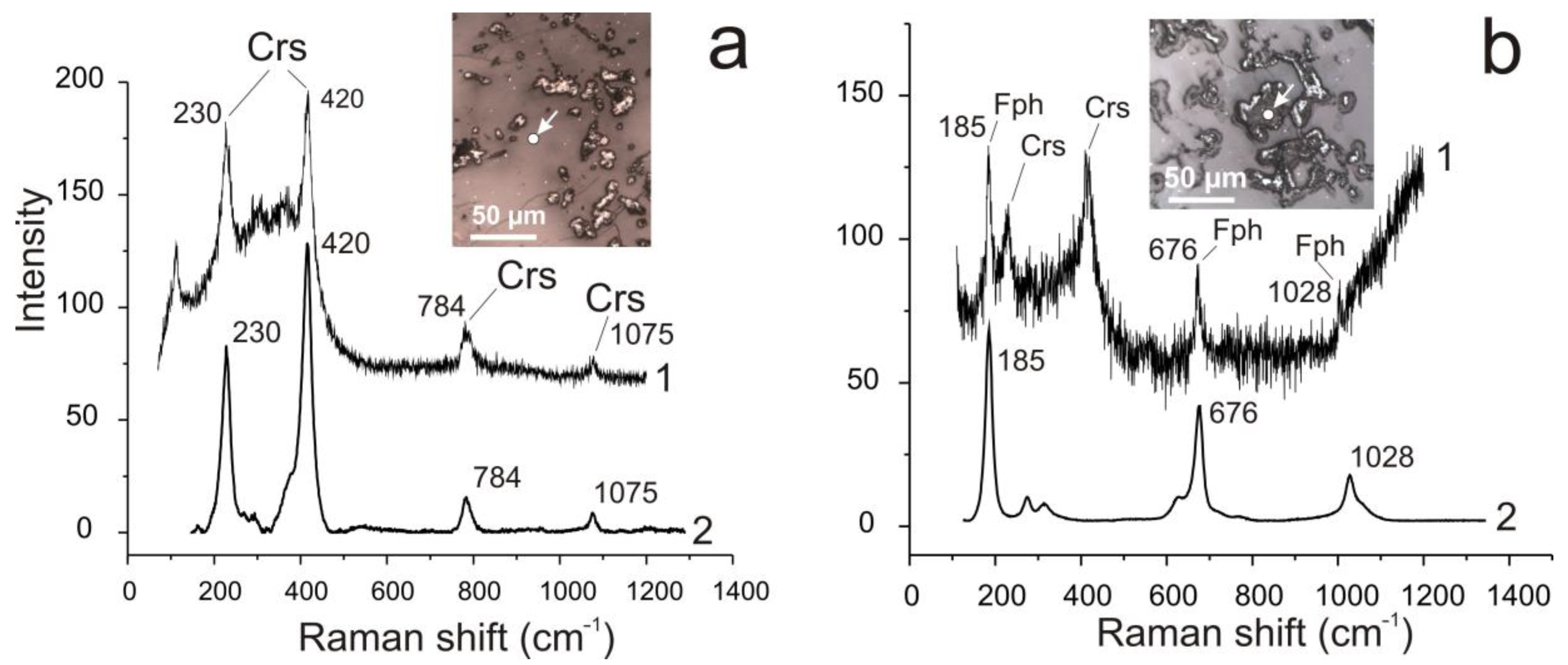 Minerals 10 01124 g010 Minerals 10 01124 g010