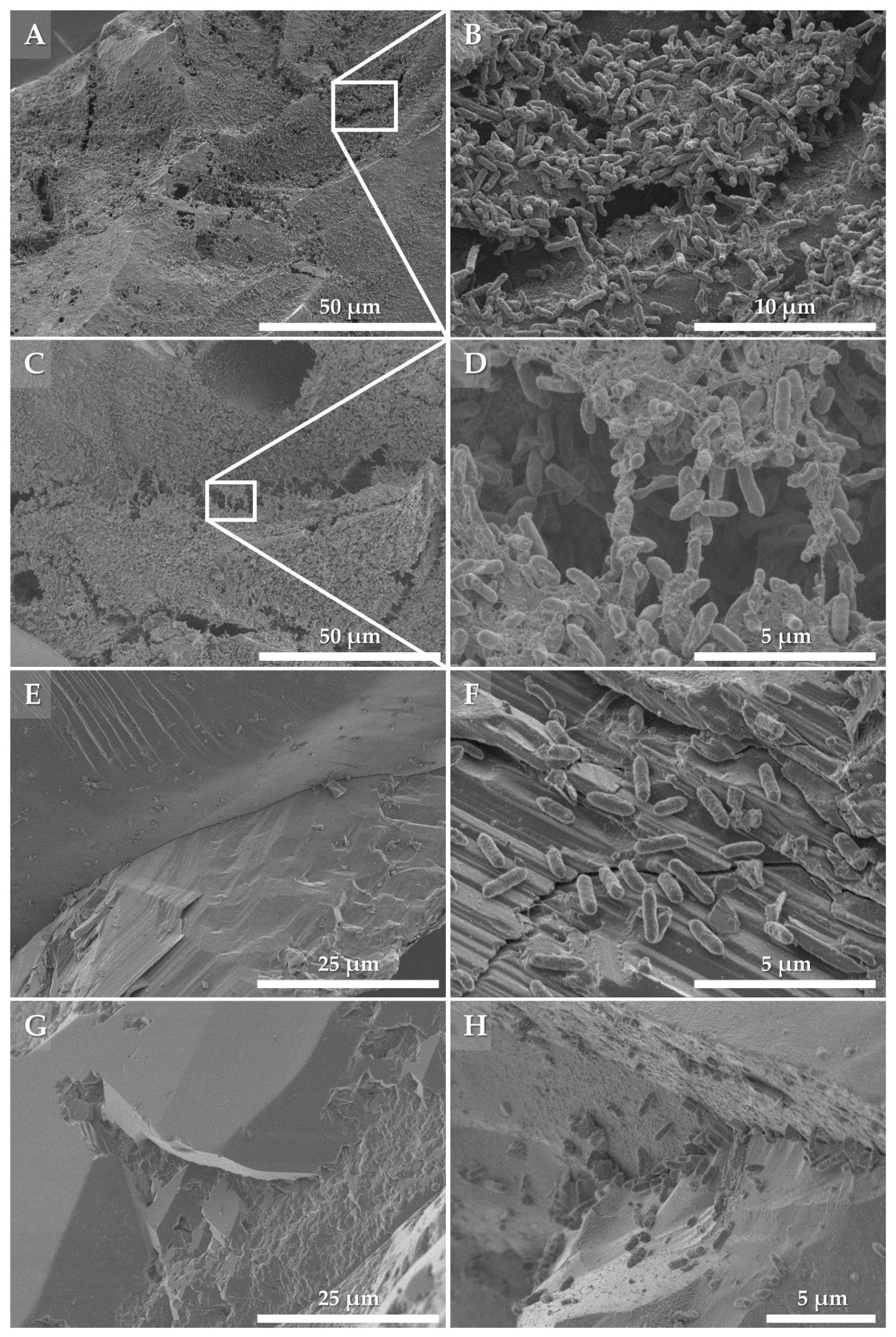 Minerals 10 01132 g003