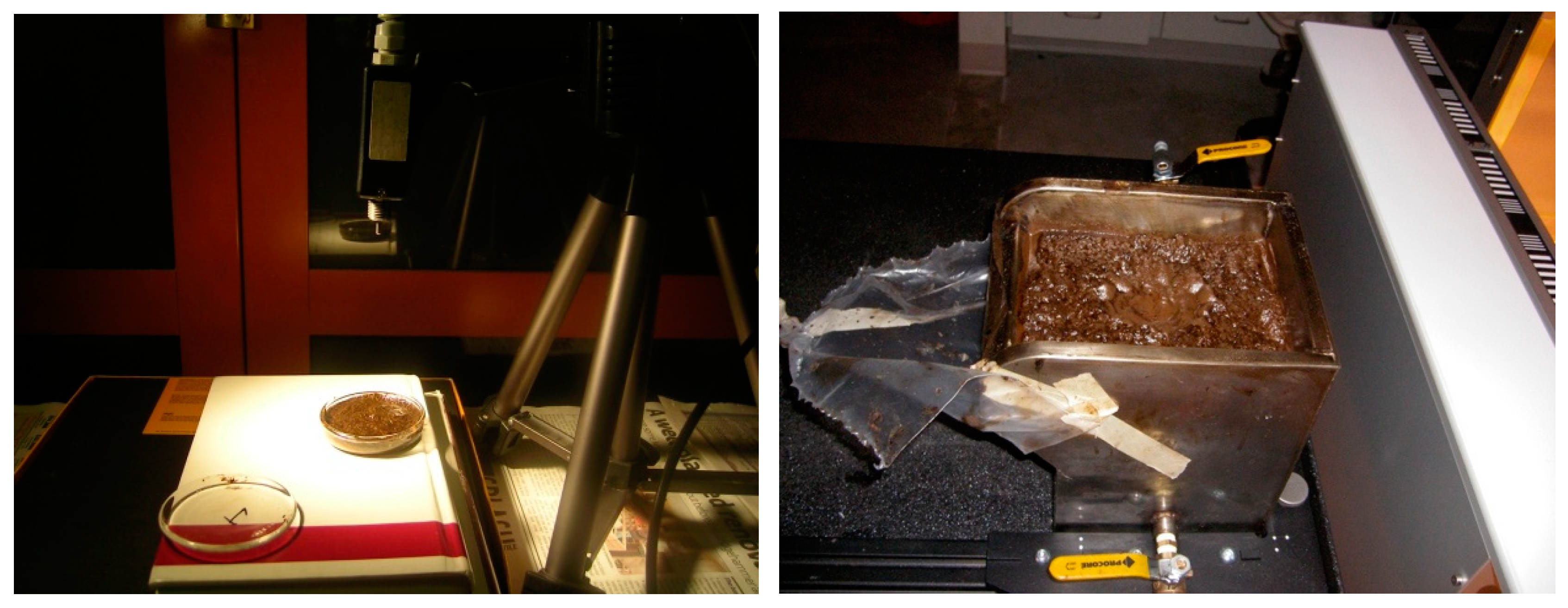 Minerals 10 01137 g003 550