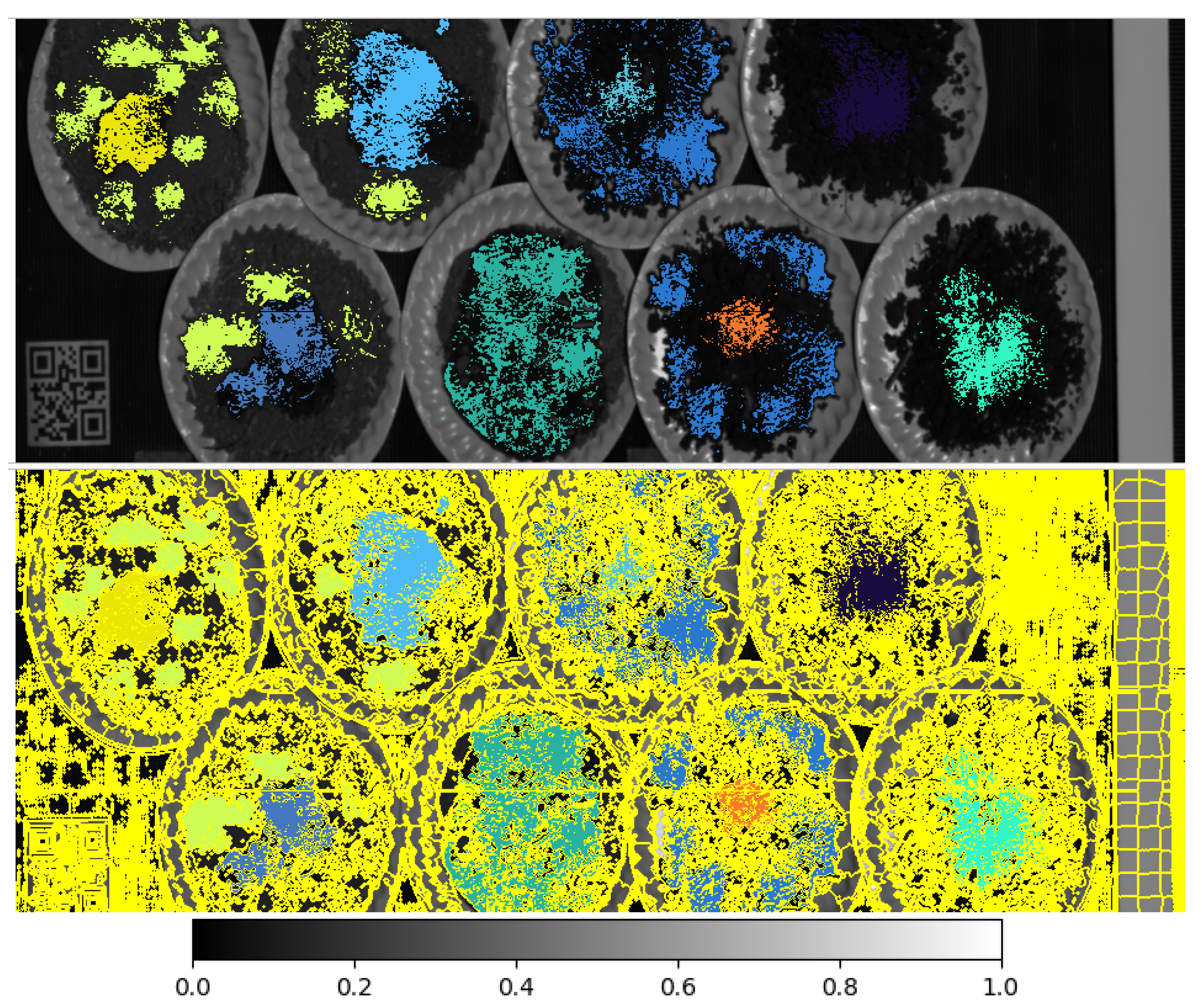 Minerals 10 01139 g008 Minerals 10 01139 g008
