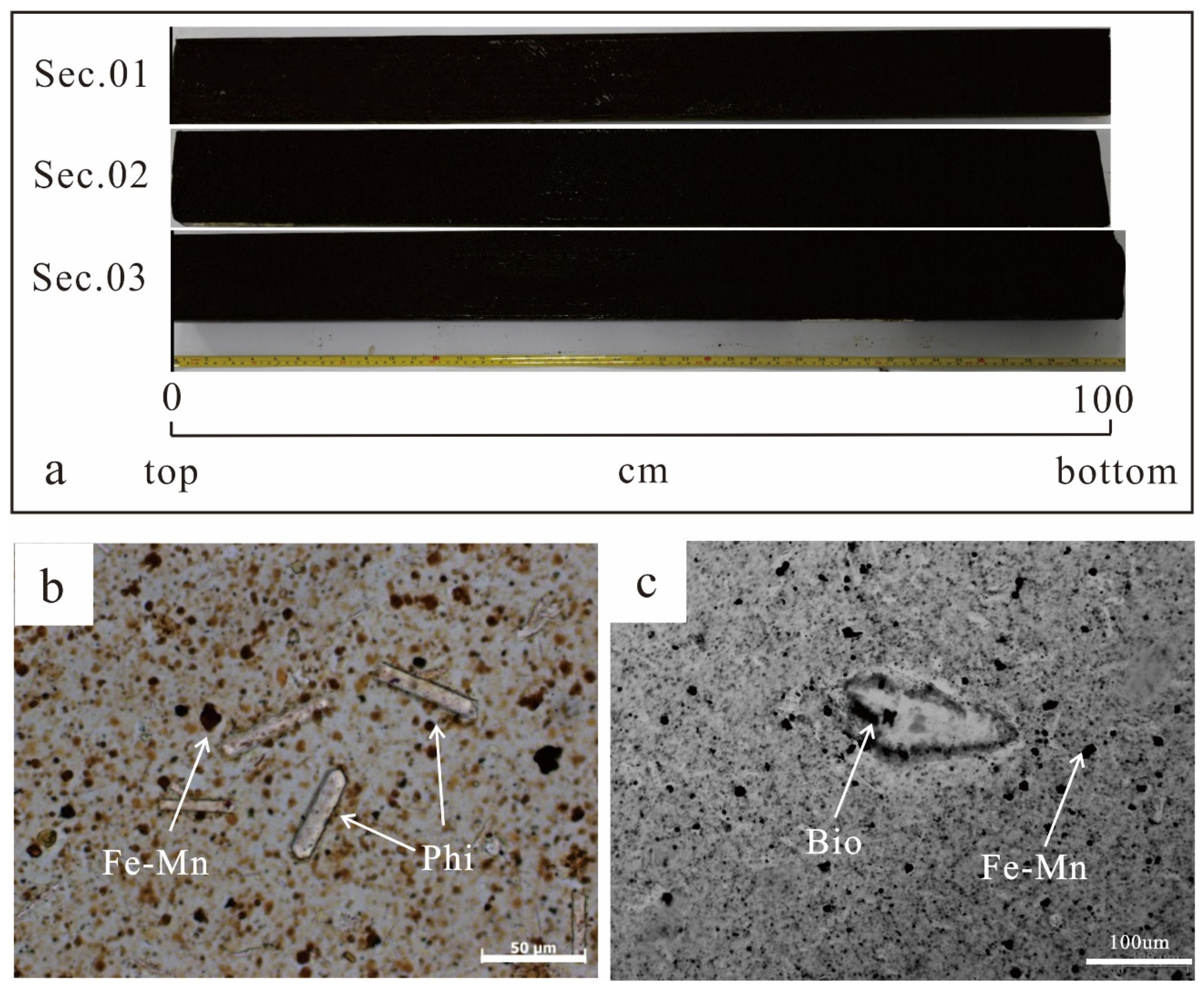 Minerals 10 01141 g002 Minerals 10 01141 g002
