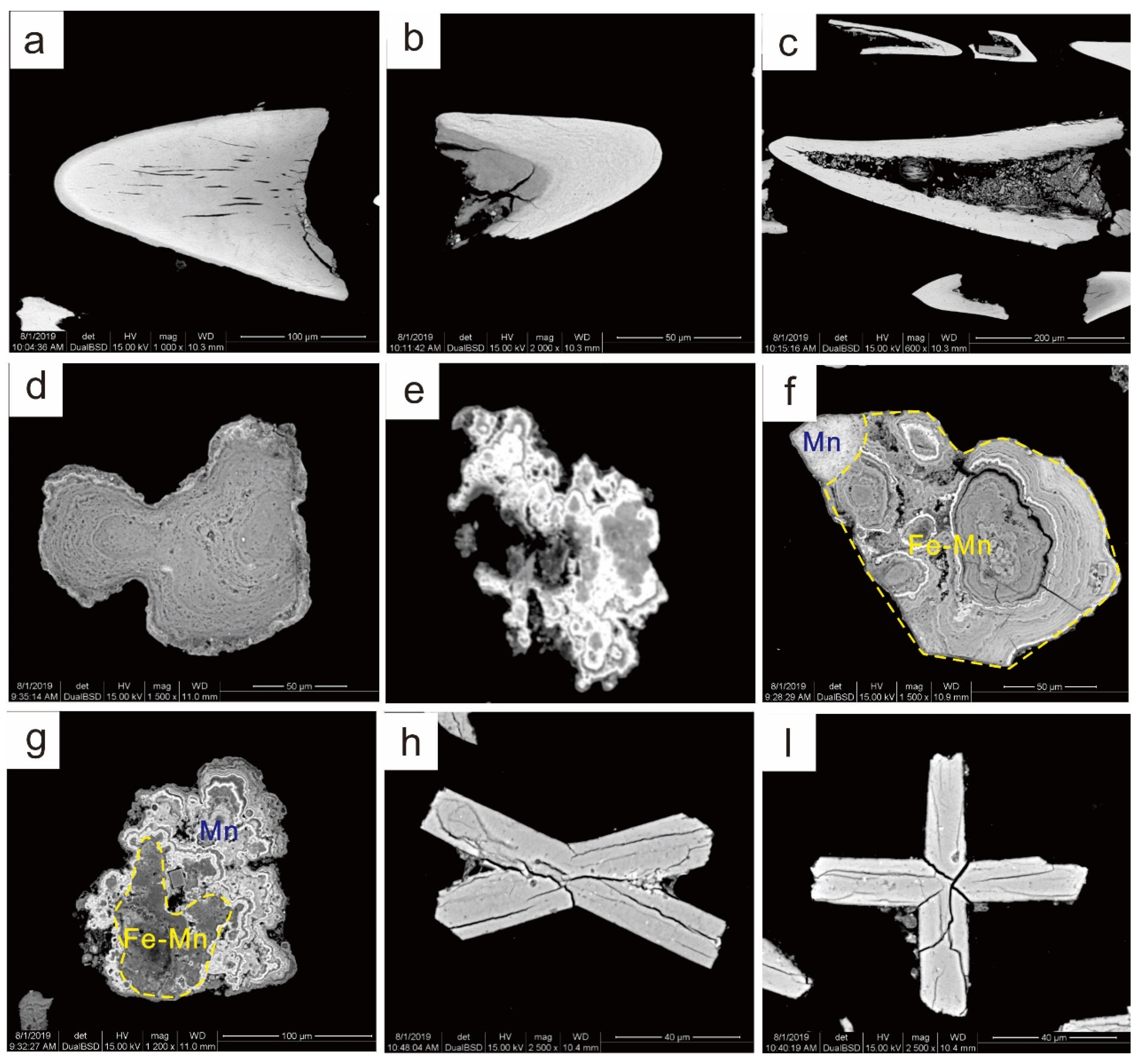 Minerals 10 01141 g004 Minerals 10 01141 g004