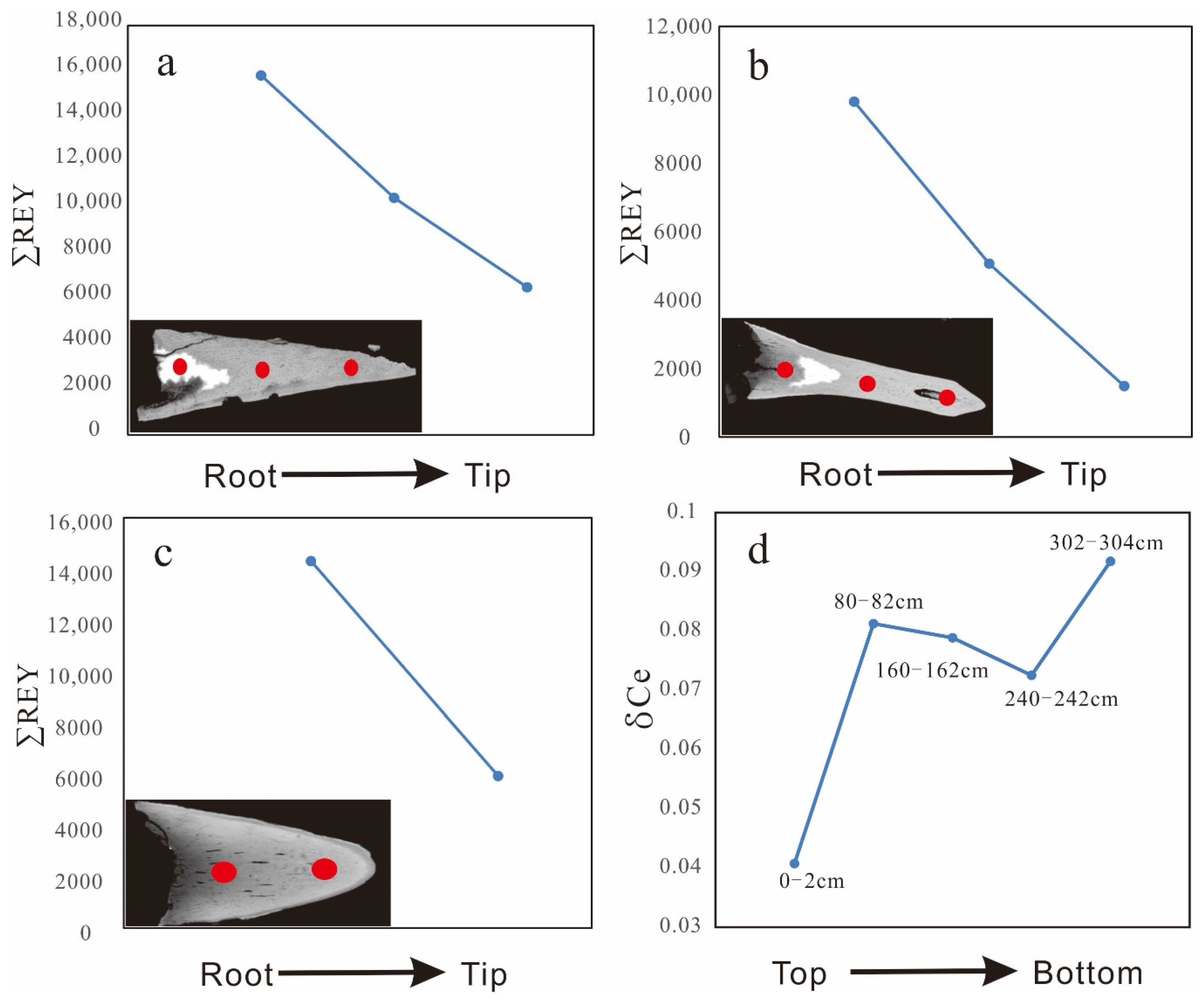 Minerals 10 01141 g008 Minerals 10 01141 g008