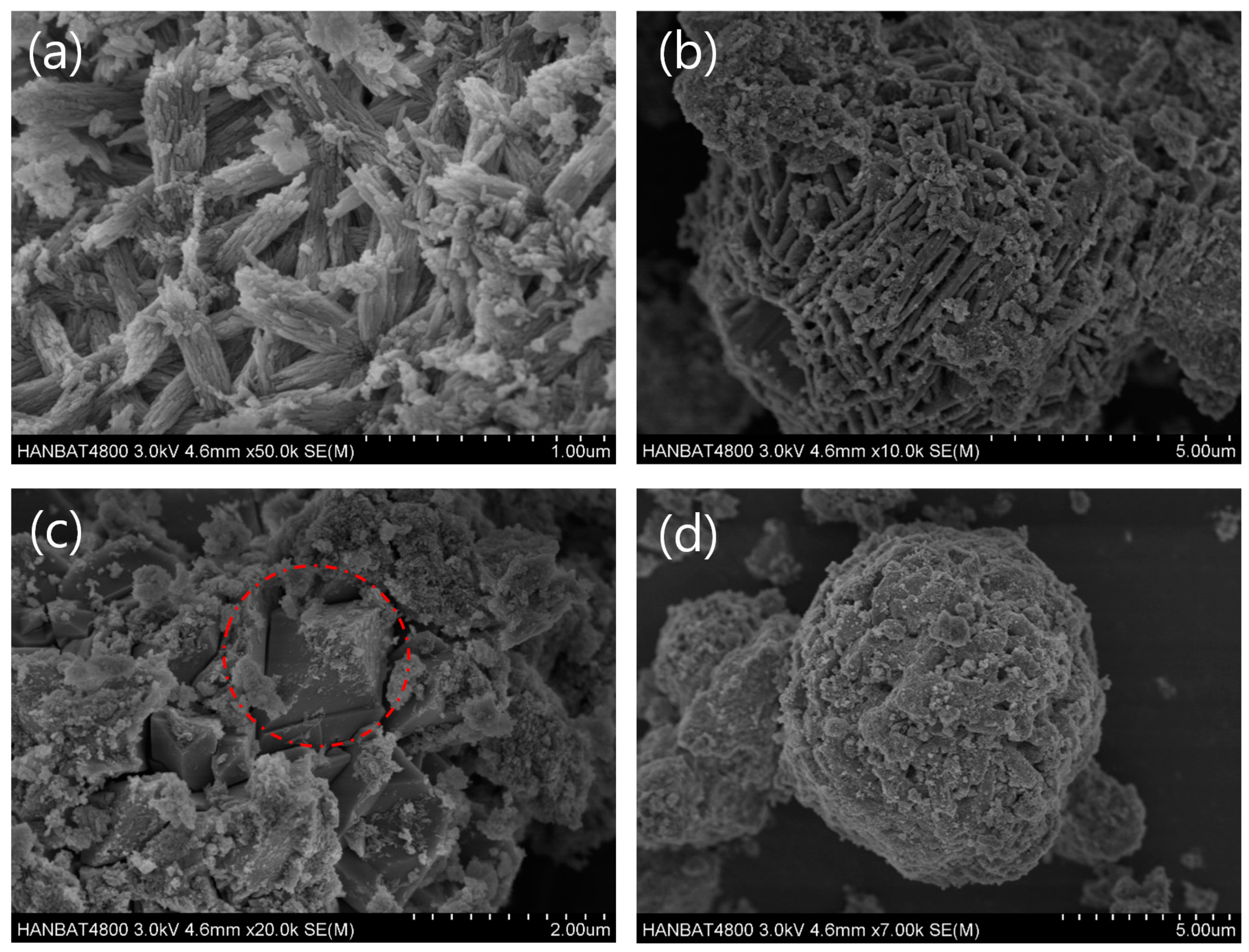 Minerals 11 00021 g003