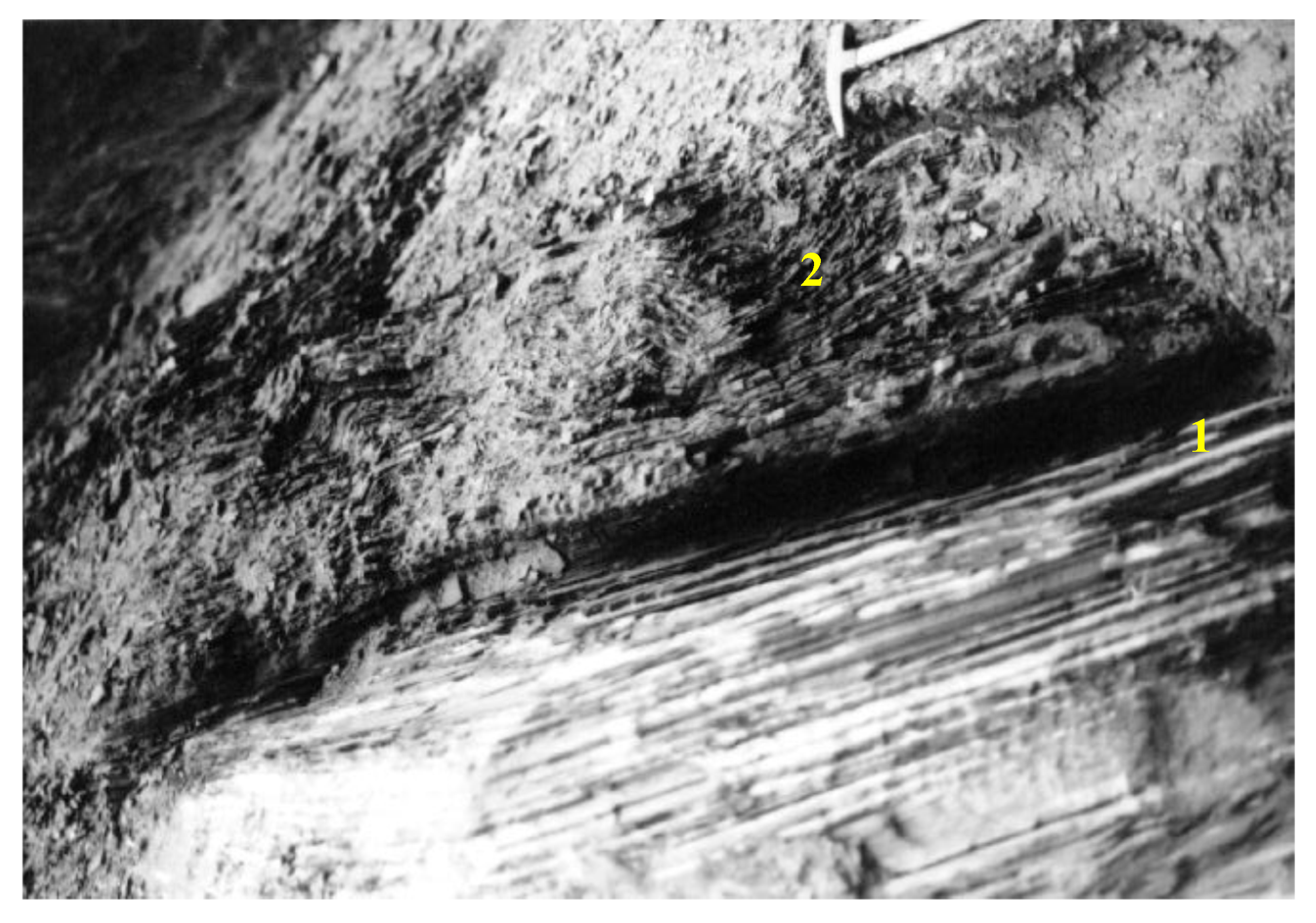 Minerals 11 00029 g014 550