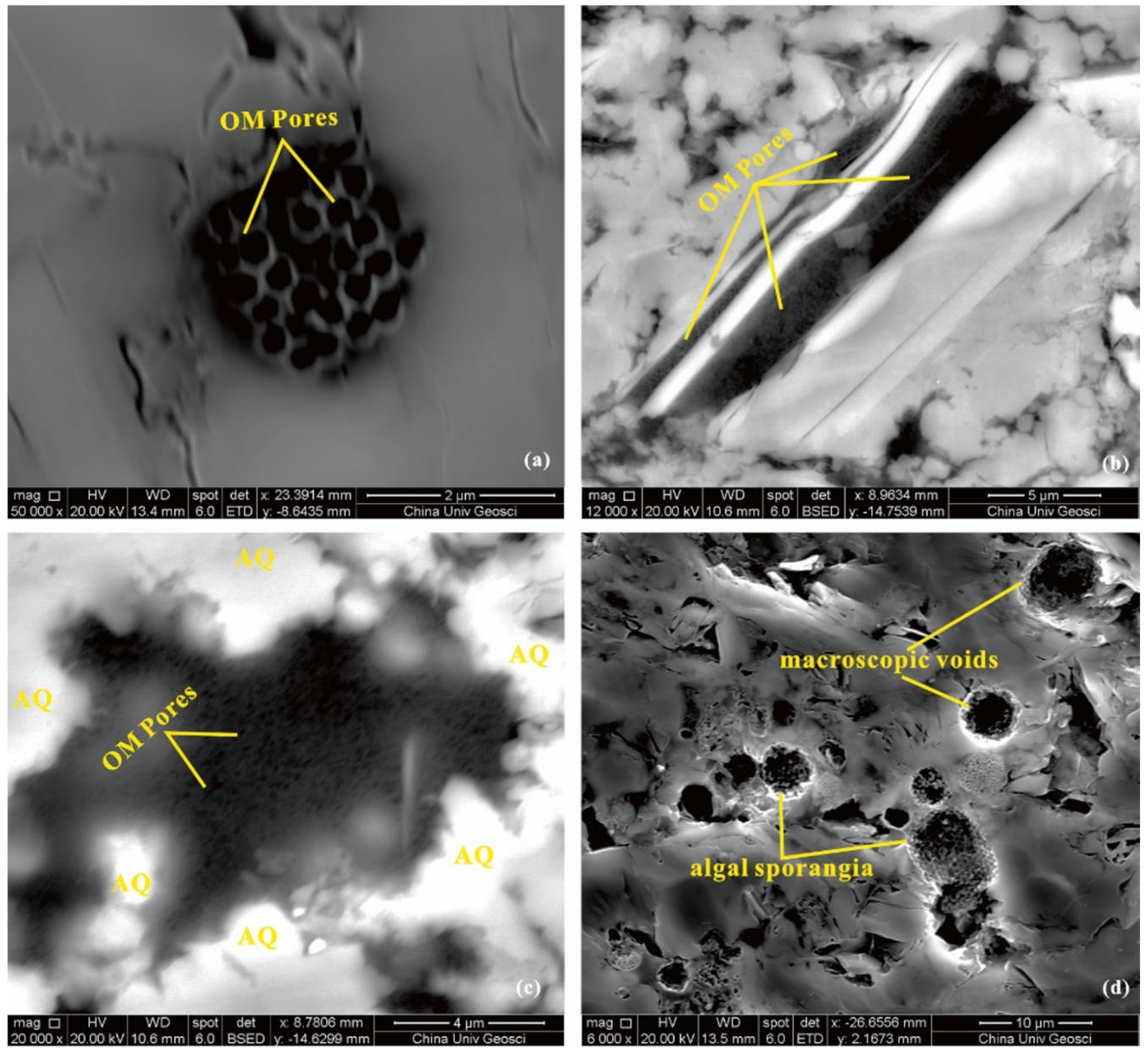 Minerals 11 00051 g005