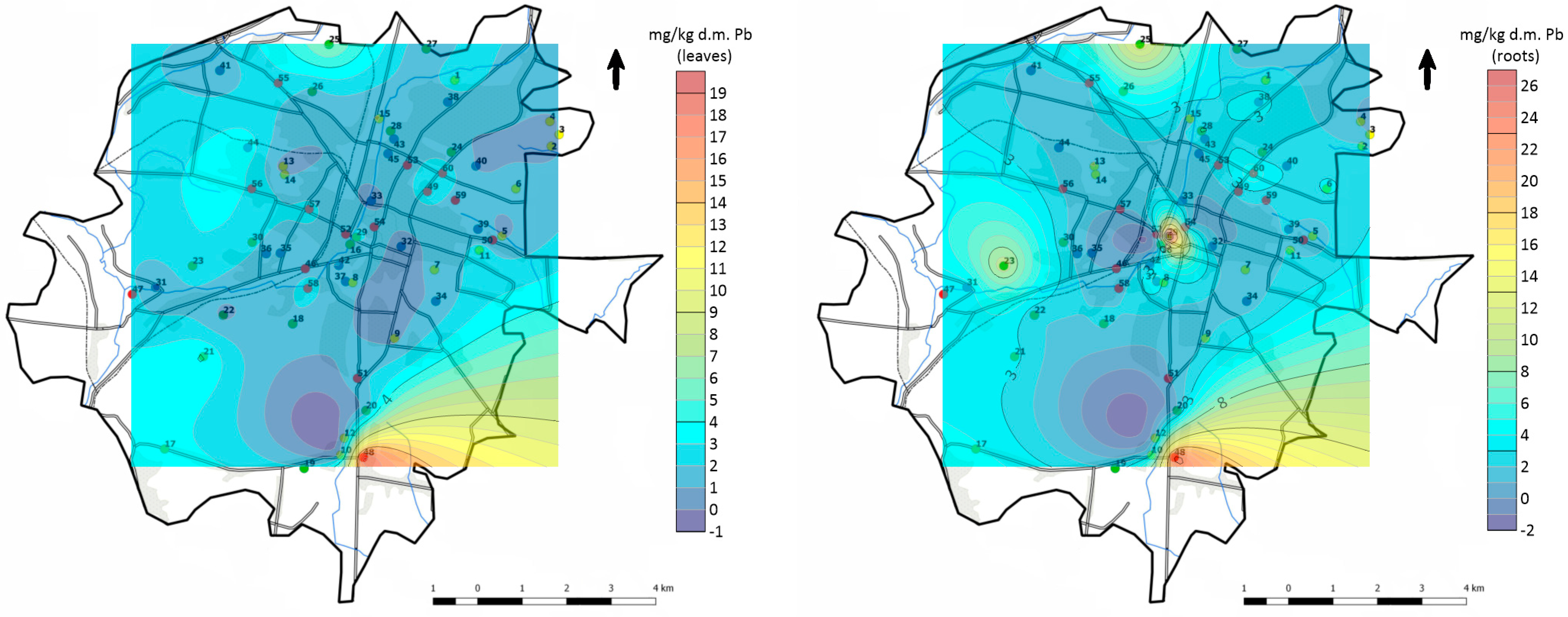 Minerals 11 00052 g005b Minerals 11 00052 g005b