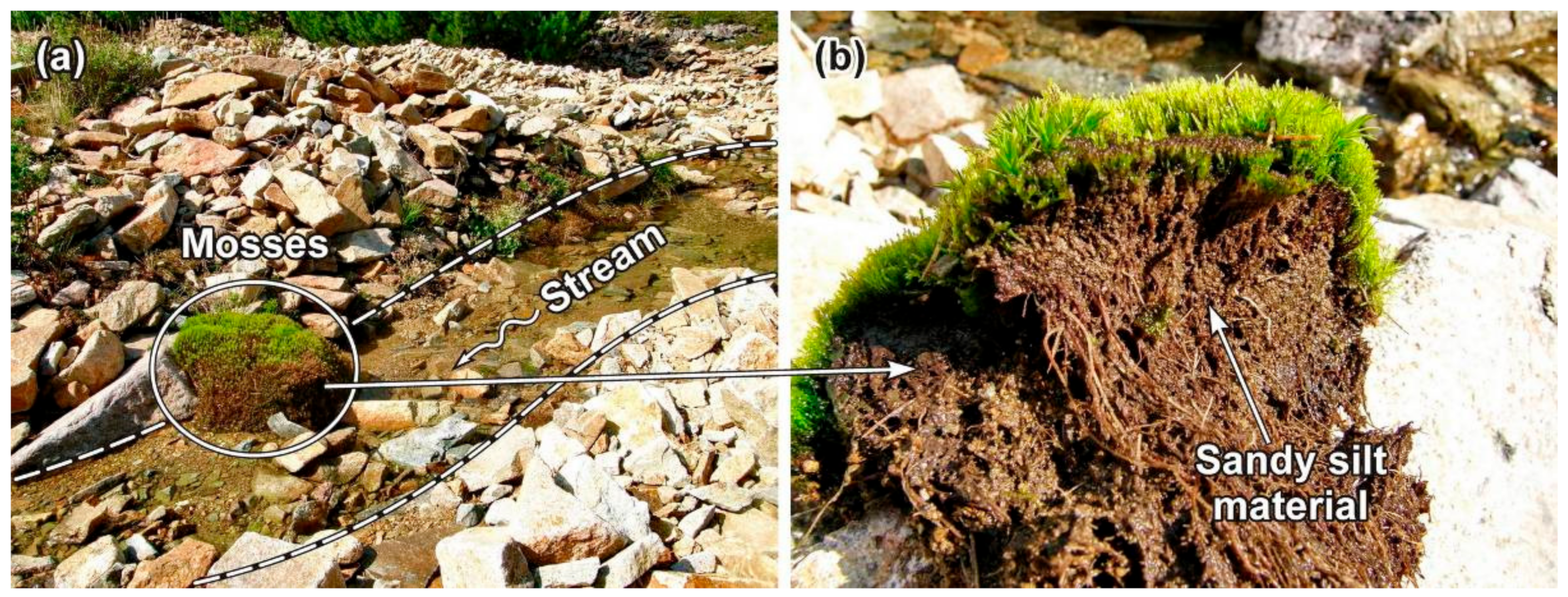 Minerals 11 00065 g010