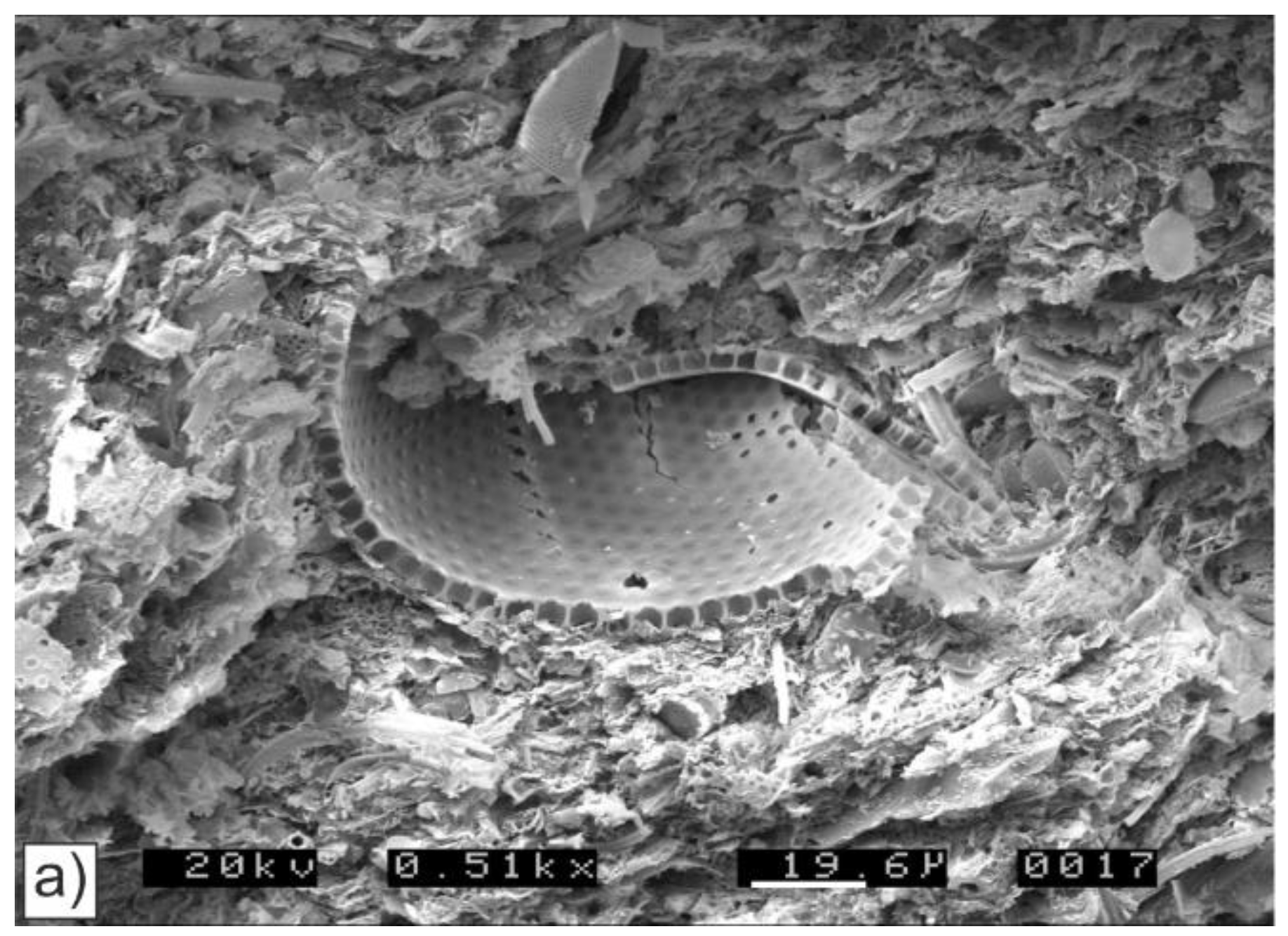 Minerals 11 00071 g007a Minerals 11 00071 g007a