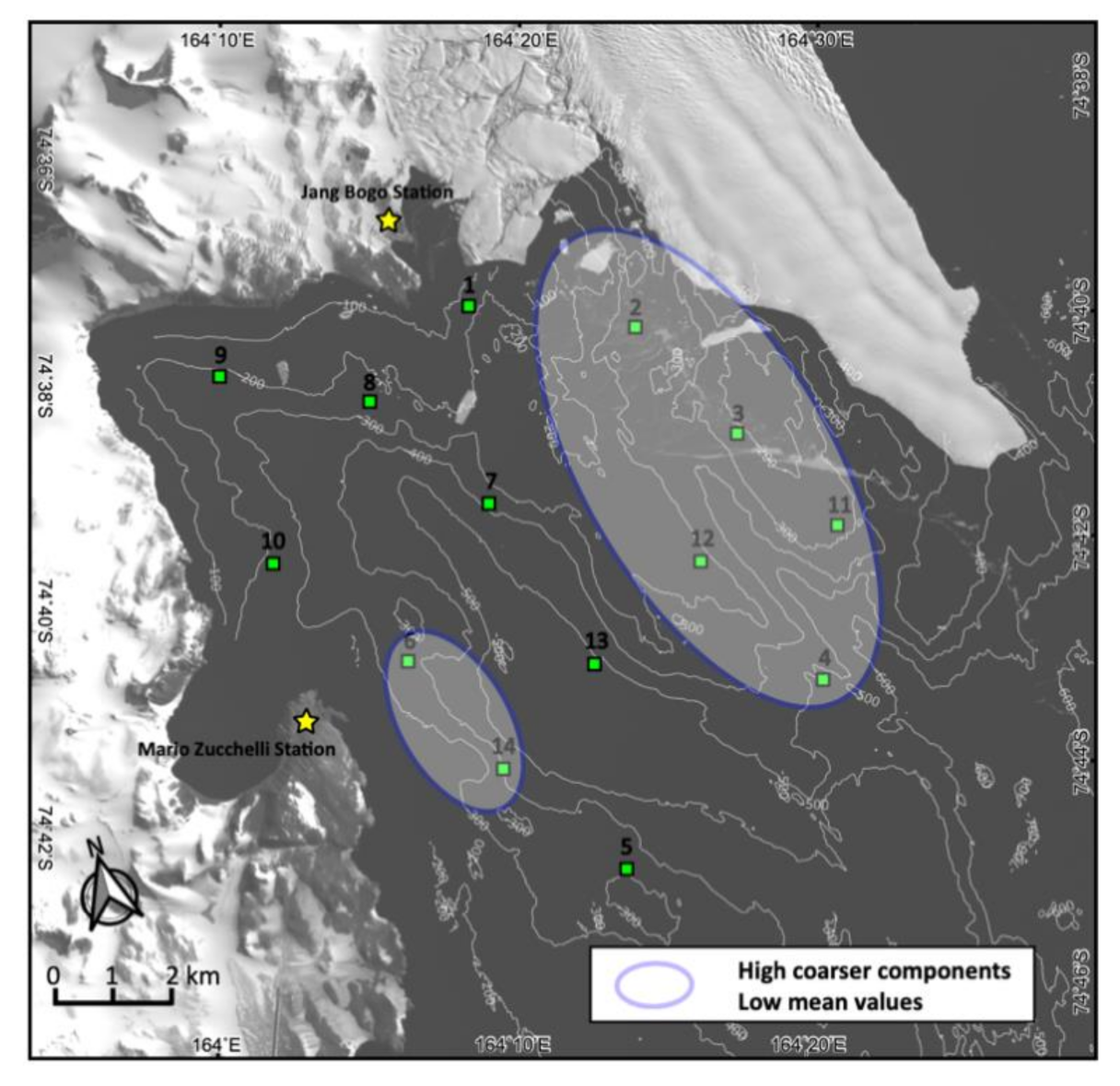Minerals 11 00072 g005