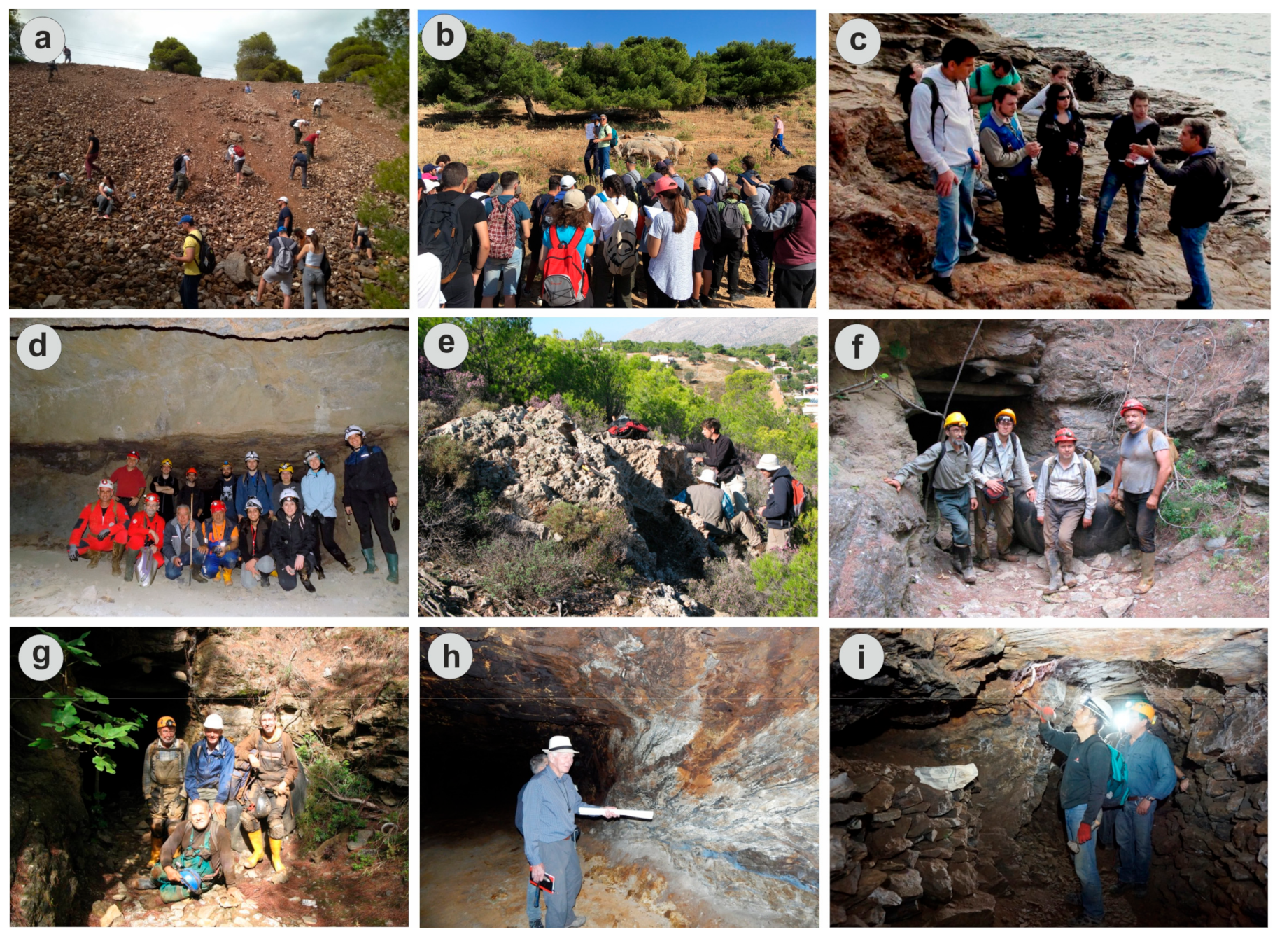 Minerals 11 00076 g008